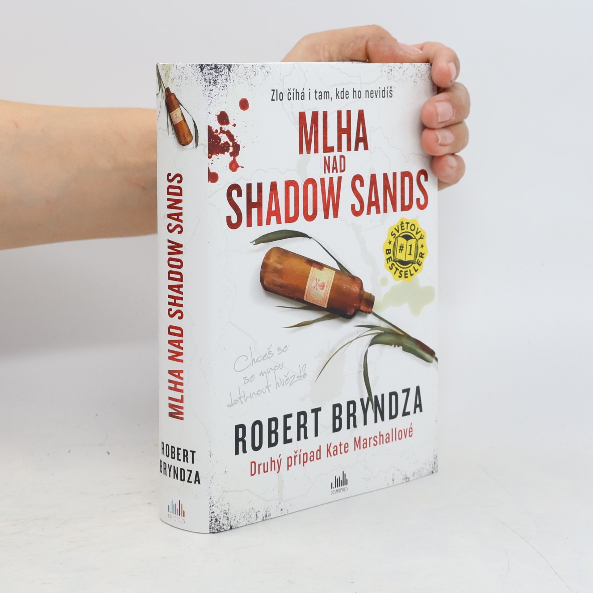 Robert Bryndza Mlha nad Shadow Sands
