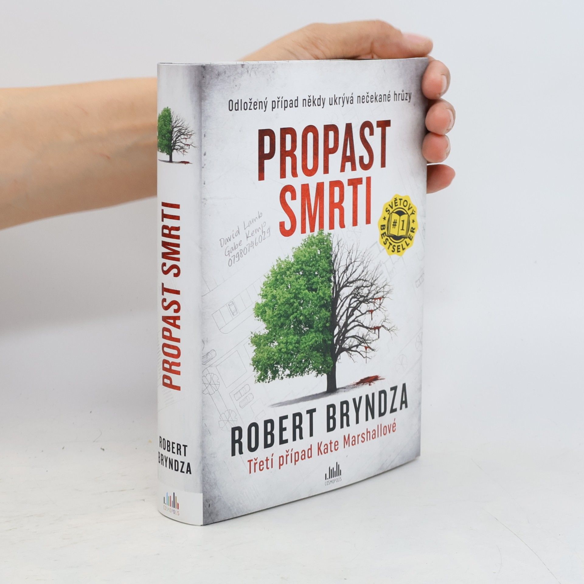 Robert Bryndza Propast smrti