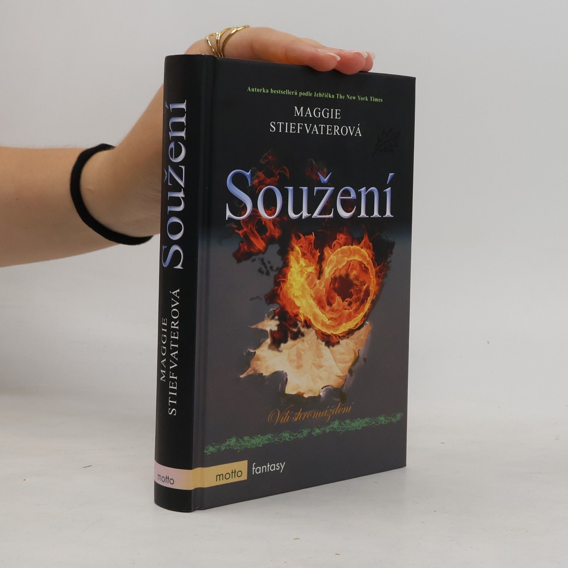 Maggie Stiefvater Soužení