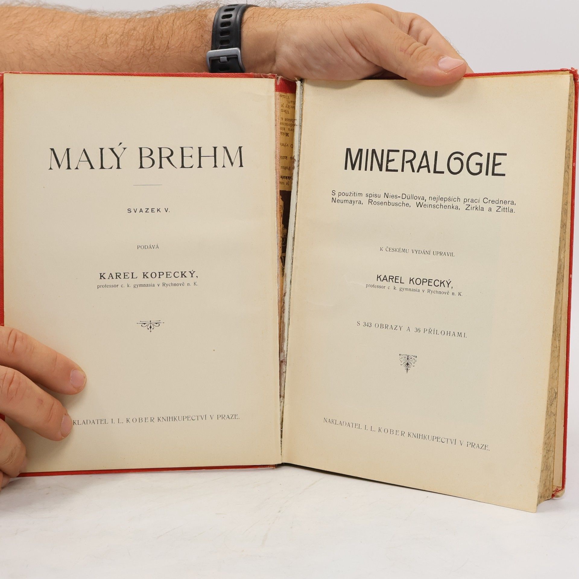 Karel Kopecký Malý Brehm V. Mineralogie