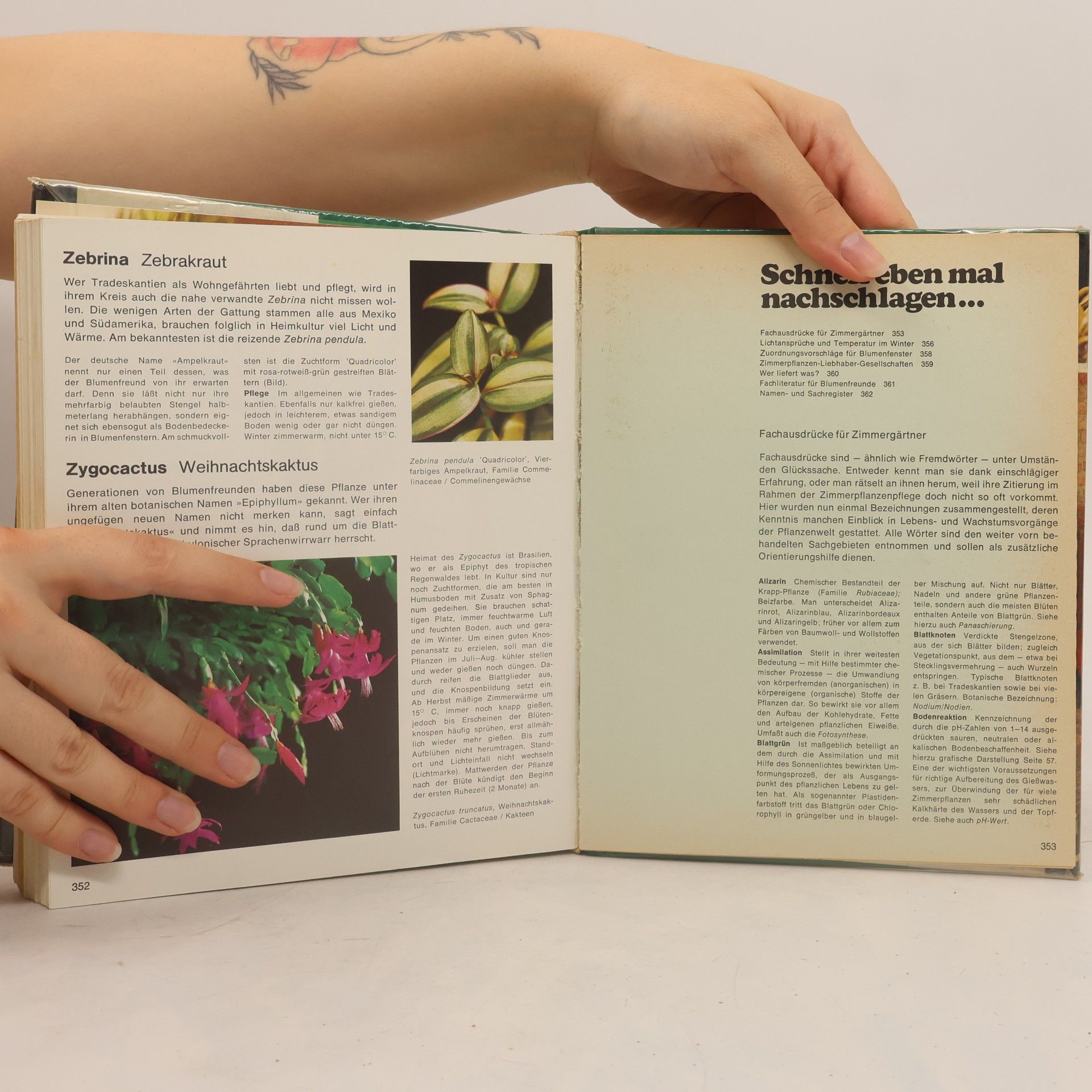 Margot Schubert Wohnen mit Blumen