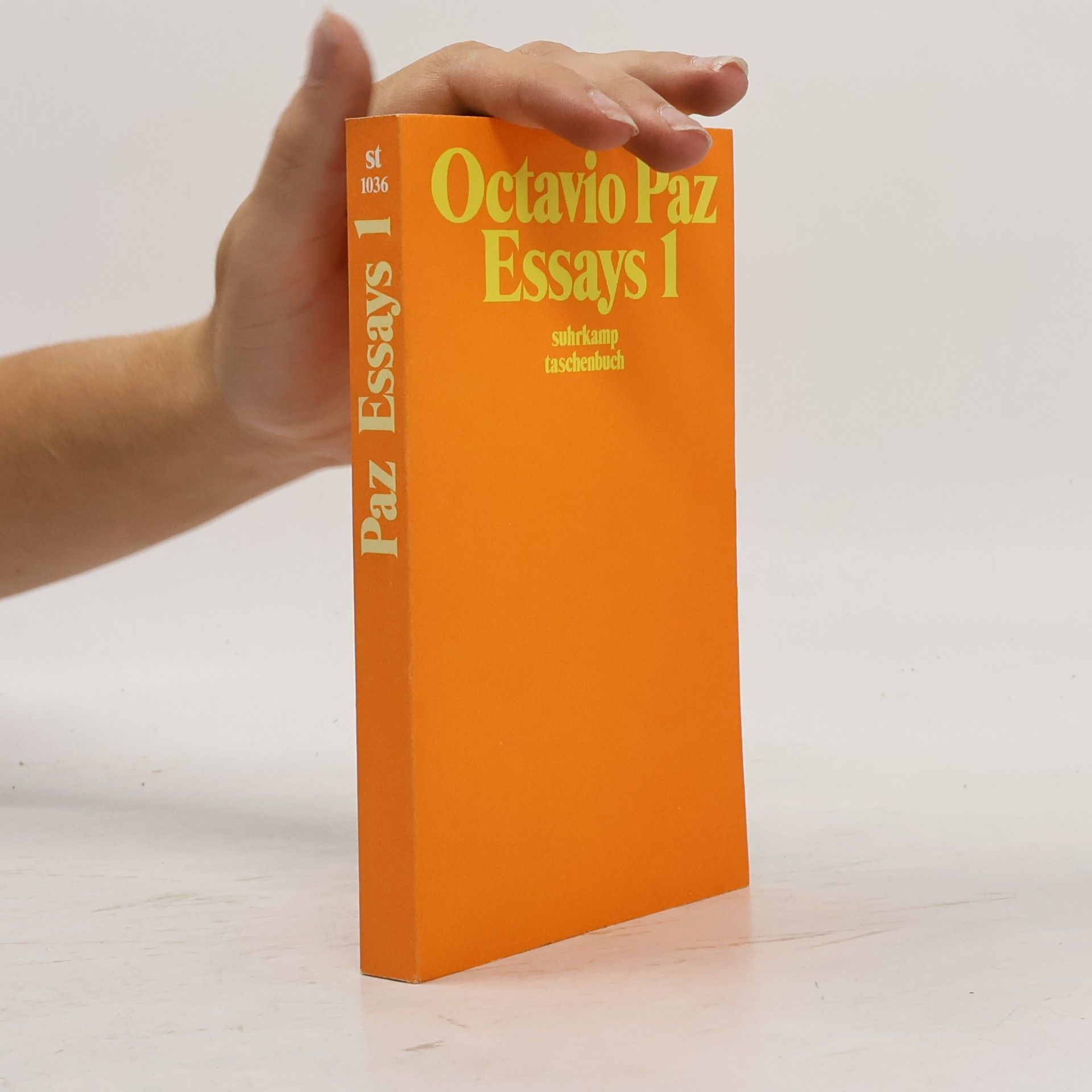 Octavio Paz Essays