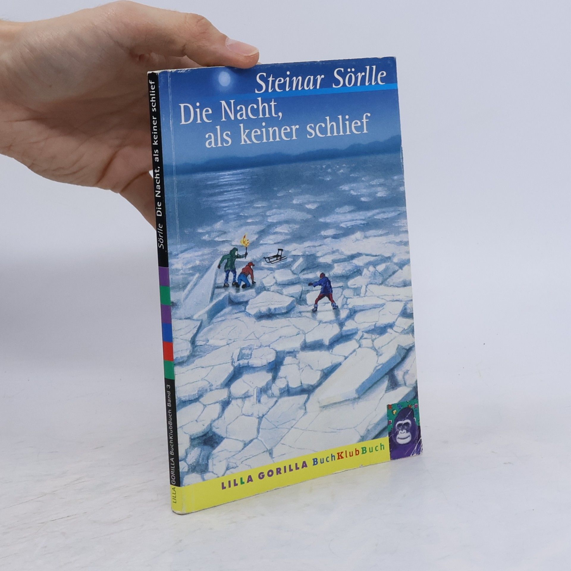 Steinar Sörlle Die Nacht, als keiner schlief