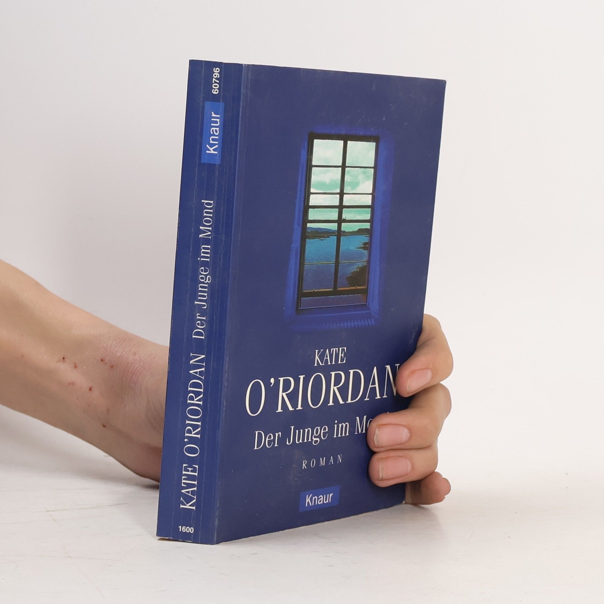 Kate O. Riordan Der Junge im Mond