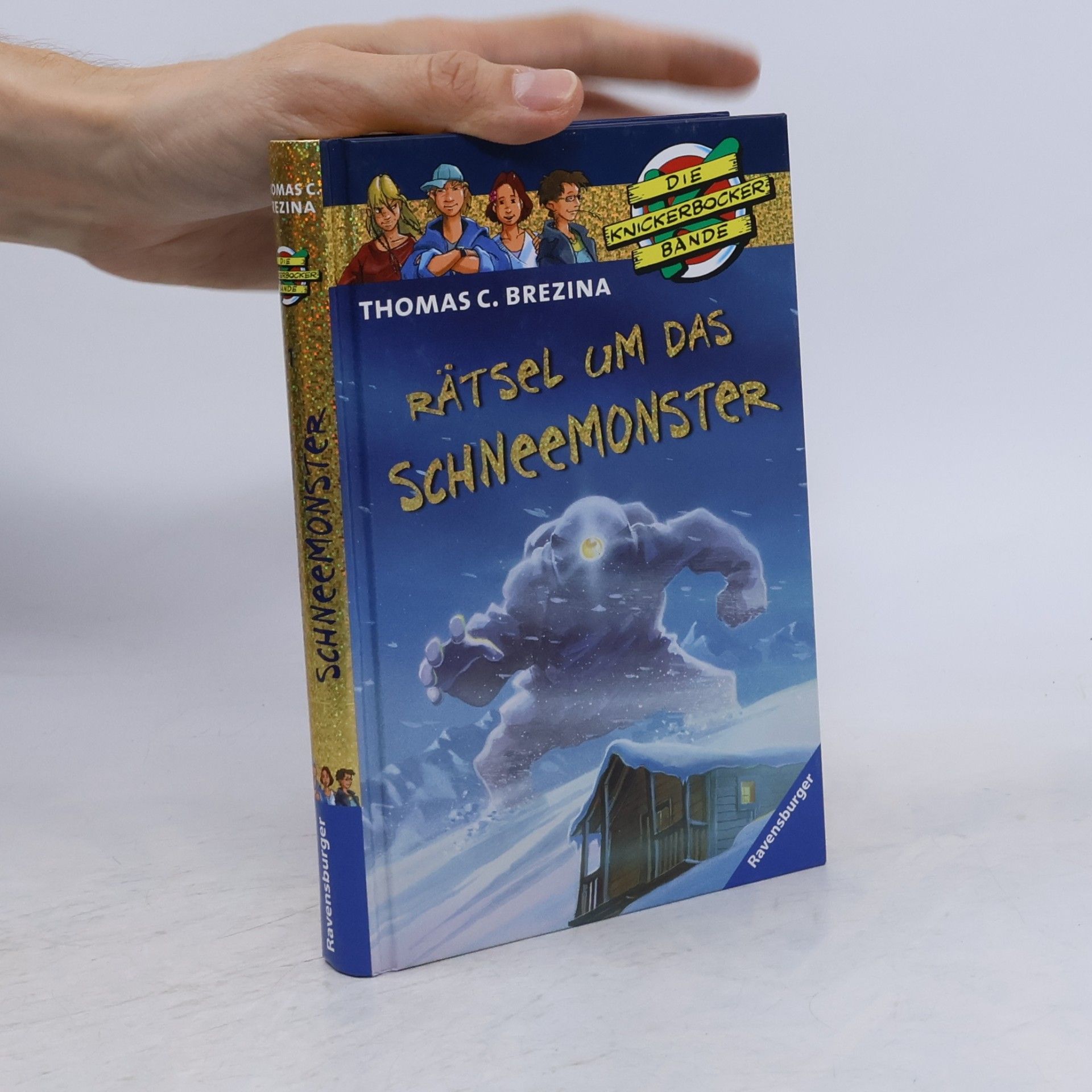 Thomas Brezina Rätsel um das schneemonster