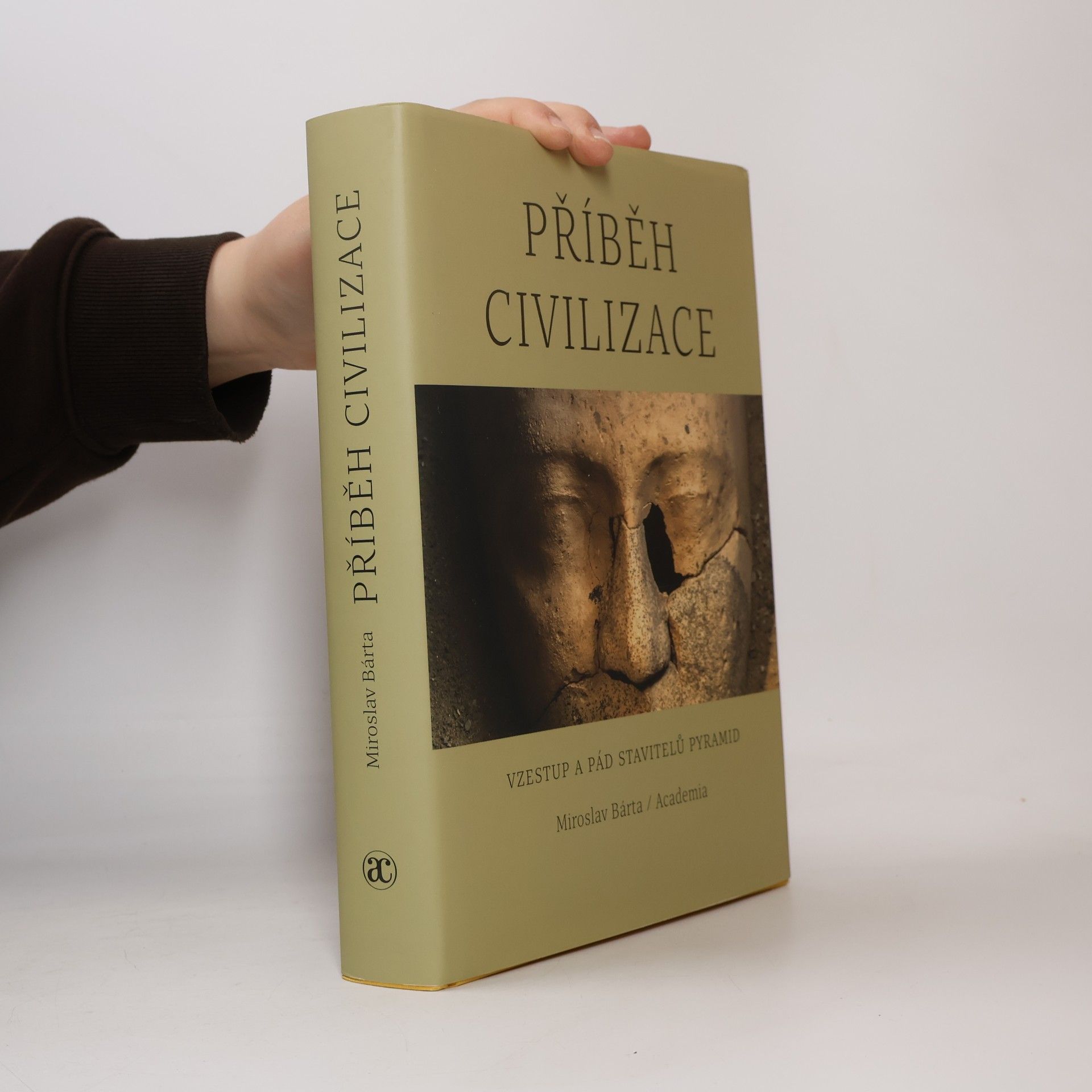 Miroslav Bárta Příběh civilizace - Vzestup a pád stavitelů pyramid