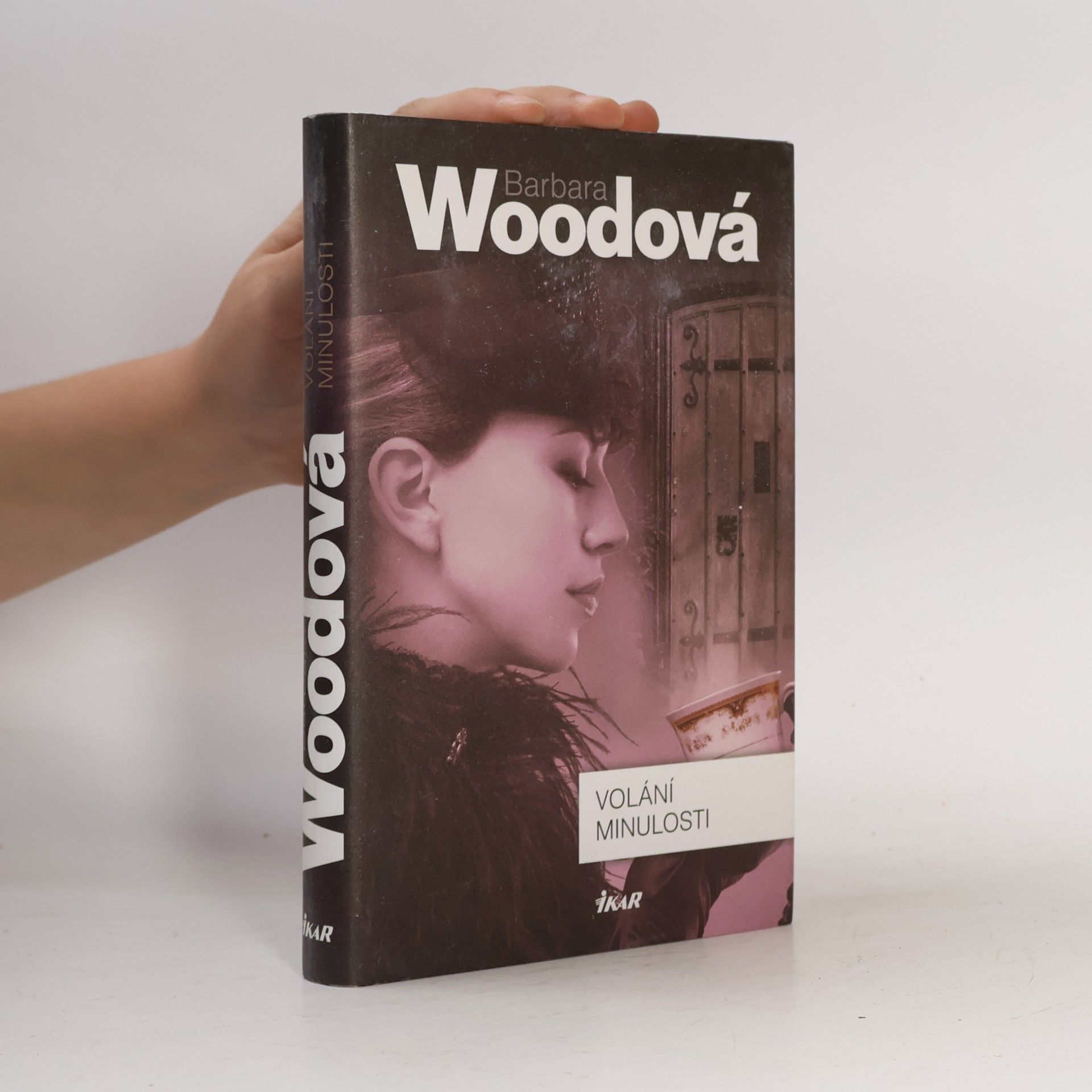 Barbara Wood Volání minulosti