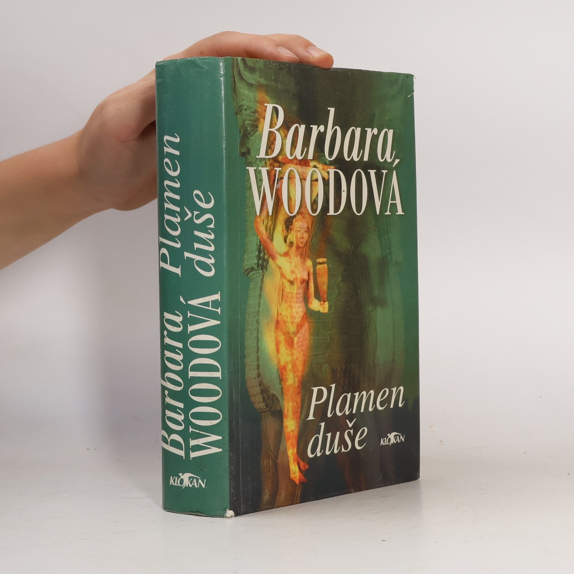 Barbara Wood Plamen duše