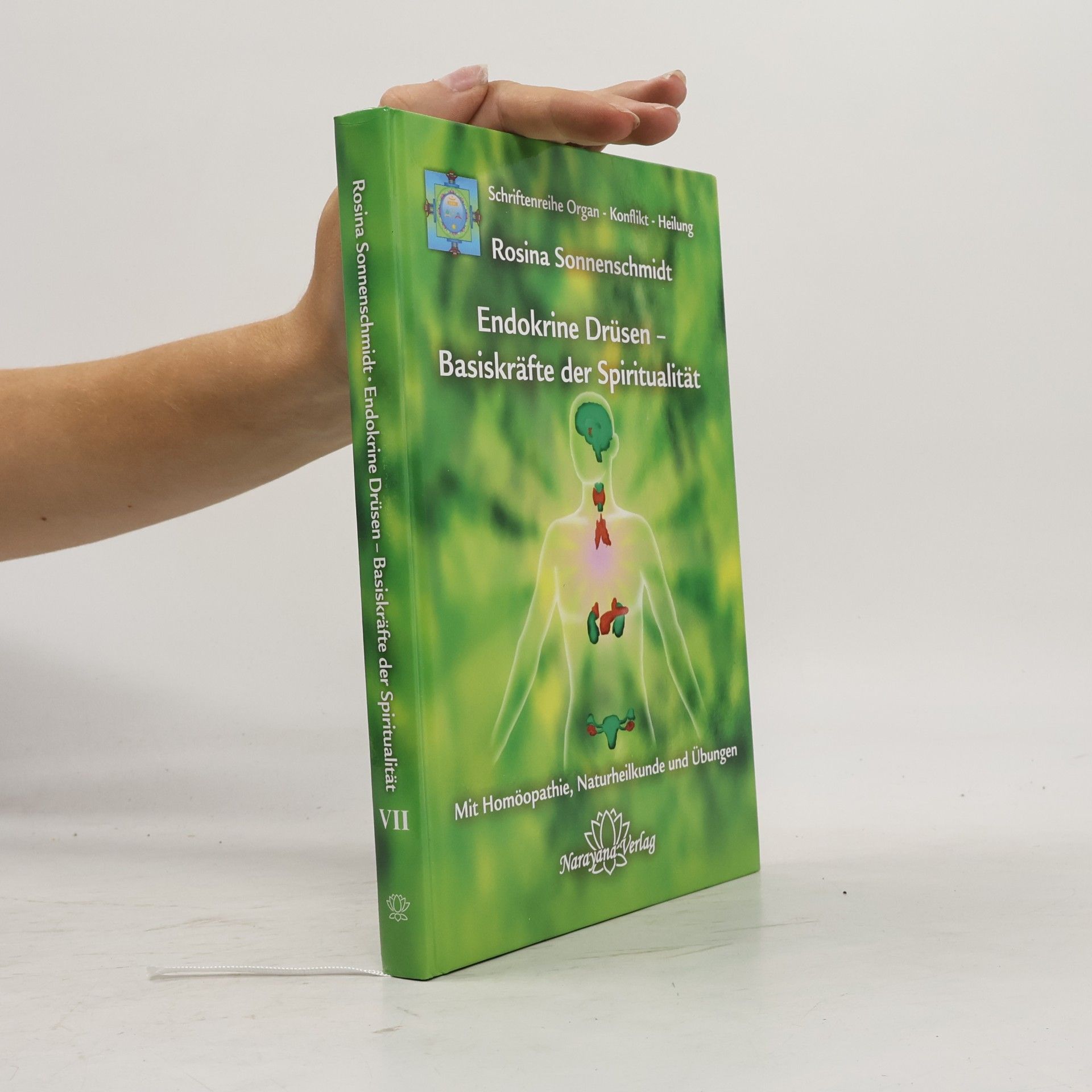 Endokrine Drüsen - Basiskräfte der Spiritualität