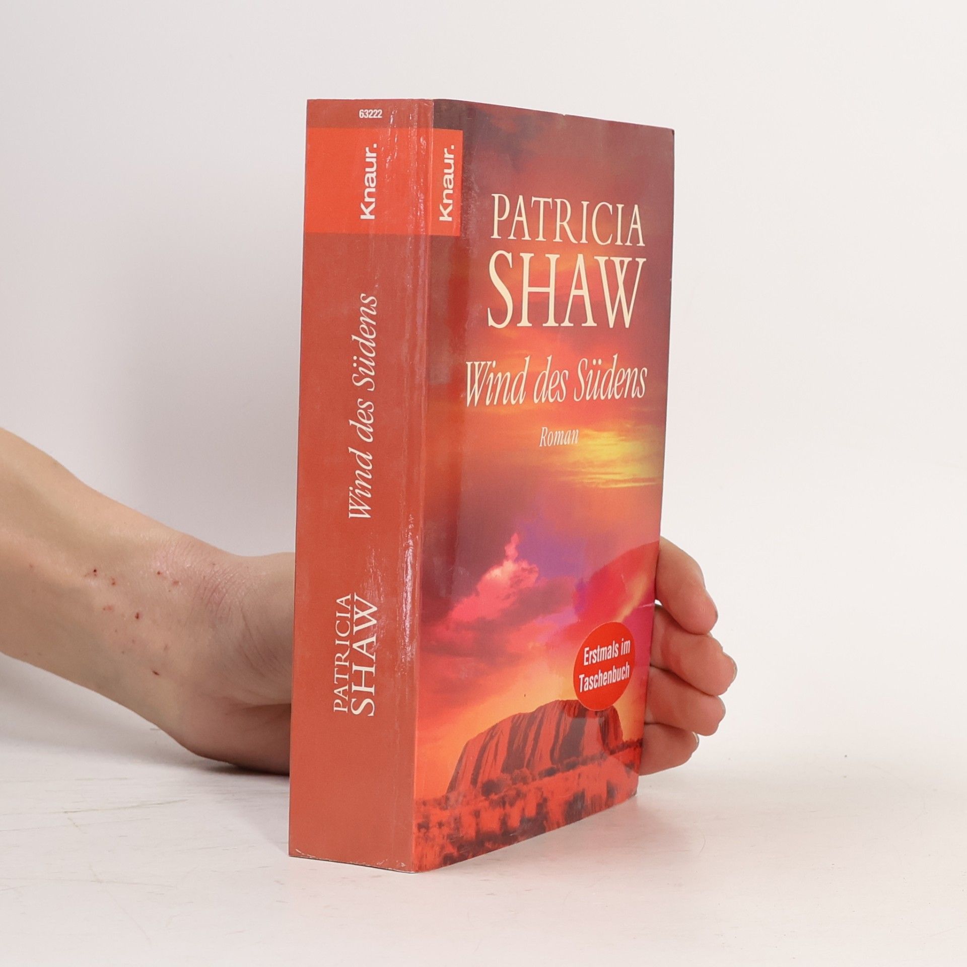 Patricia Shaw Wind des Südens