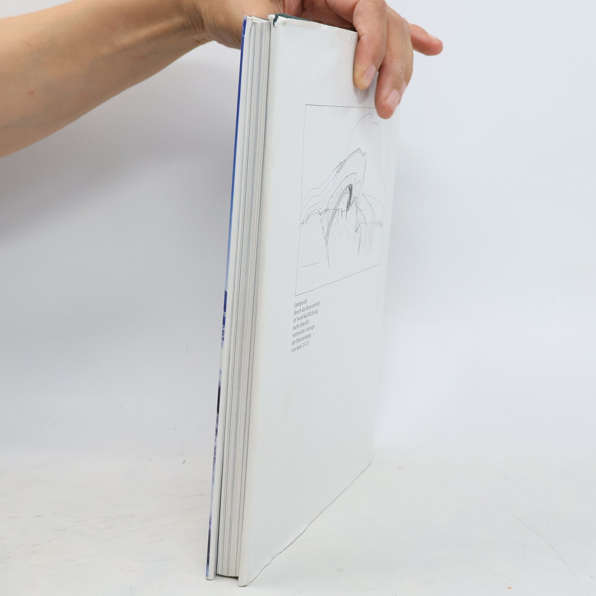 Kolektiv autorů Berg '95 Alpenvereinsjahrbuch