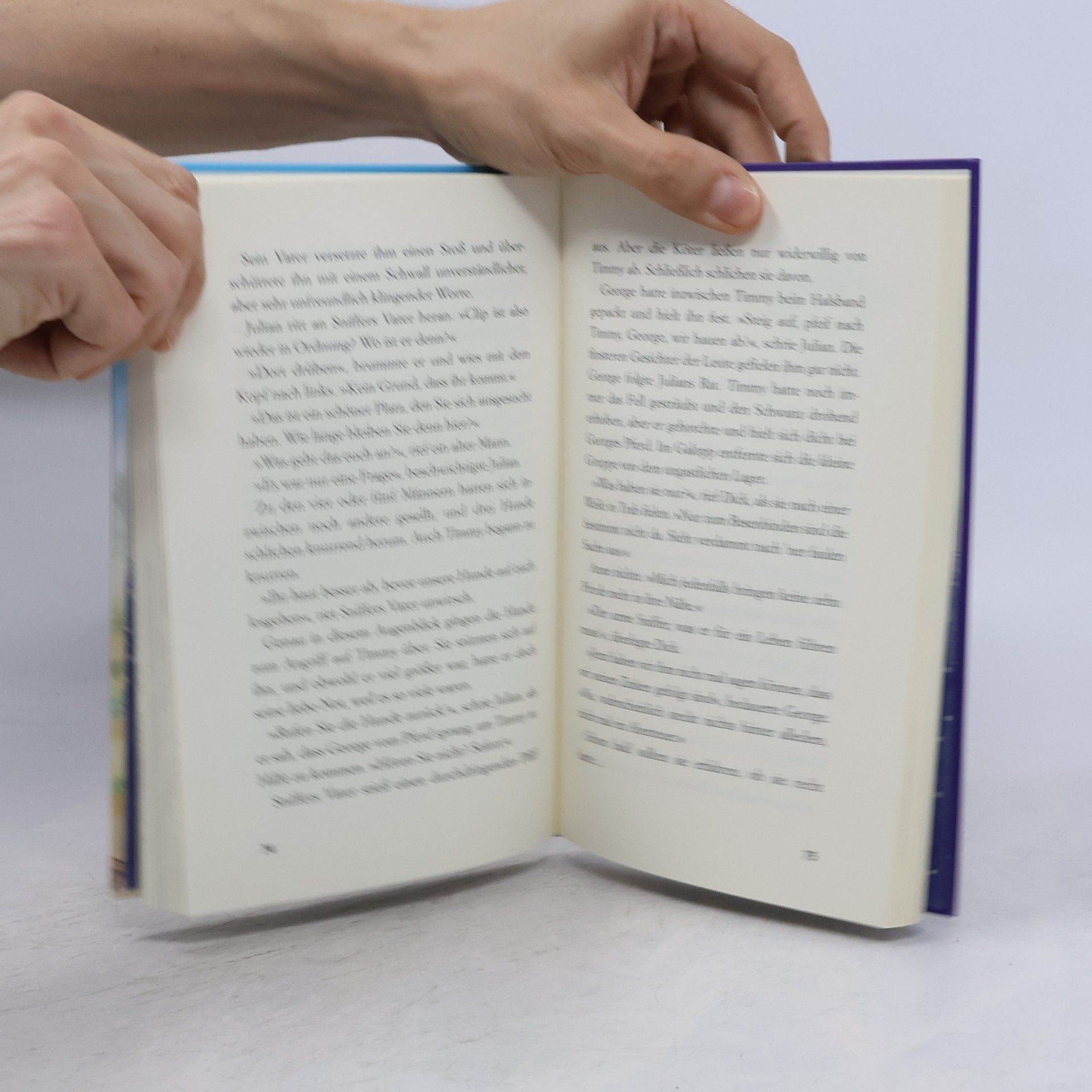 Enid Blyton Fünf Freunde im Nebel