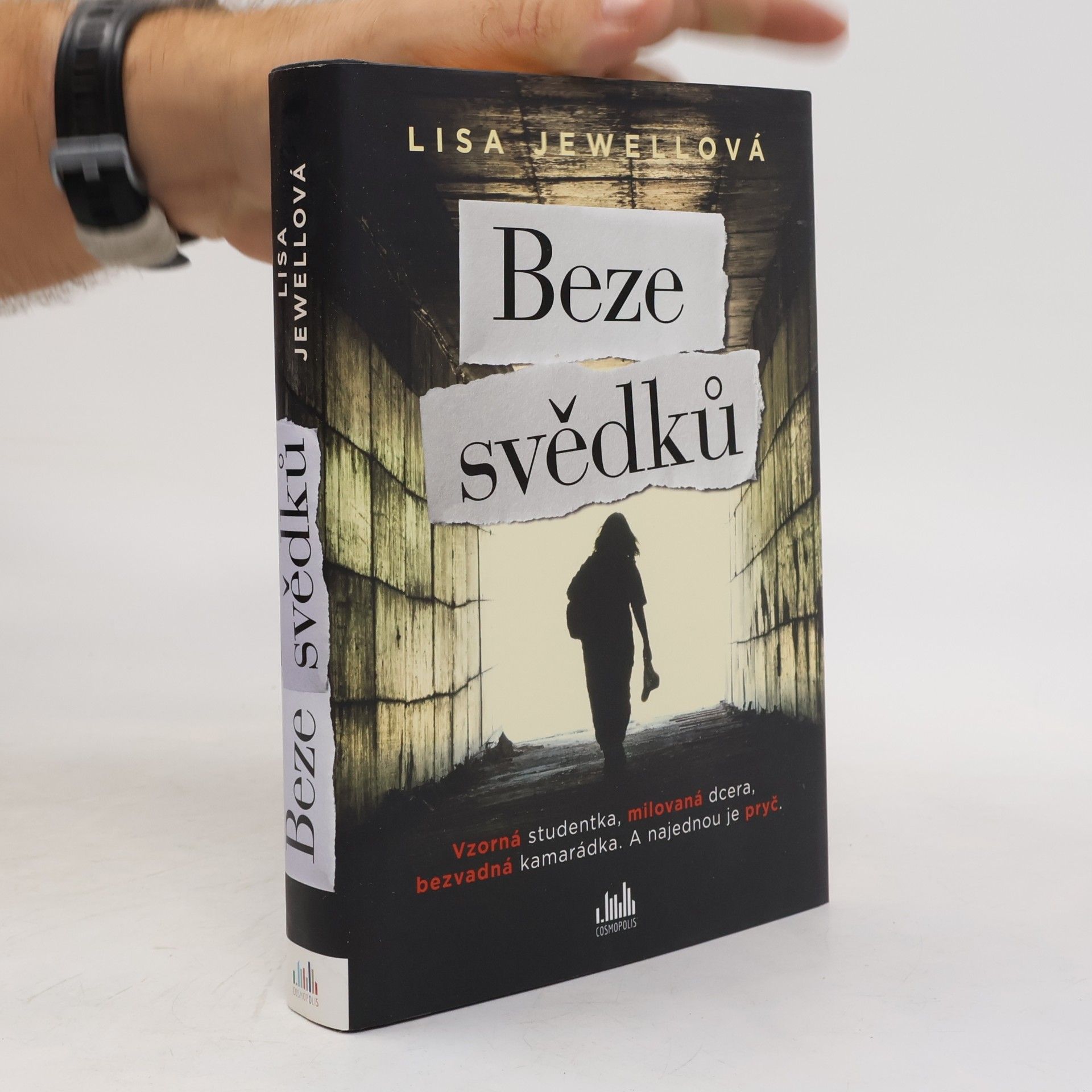 Lisa Jewell Beze svědků