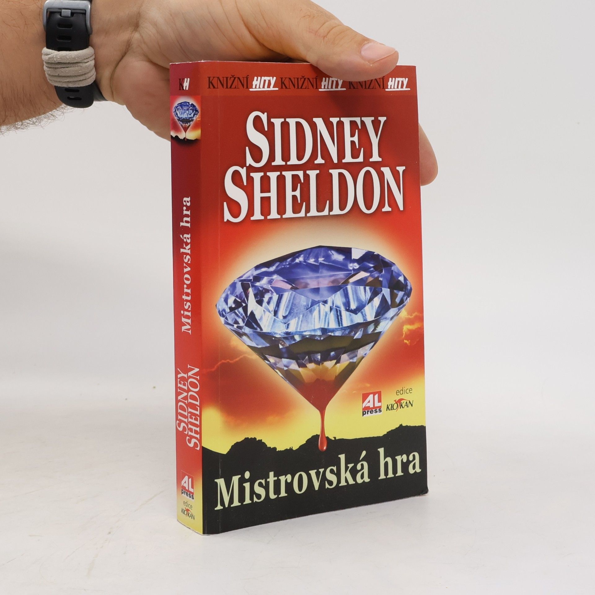 Sidney Sheldon Mistrovská hra