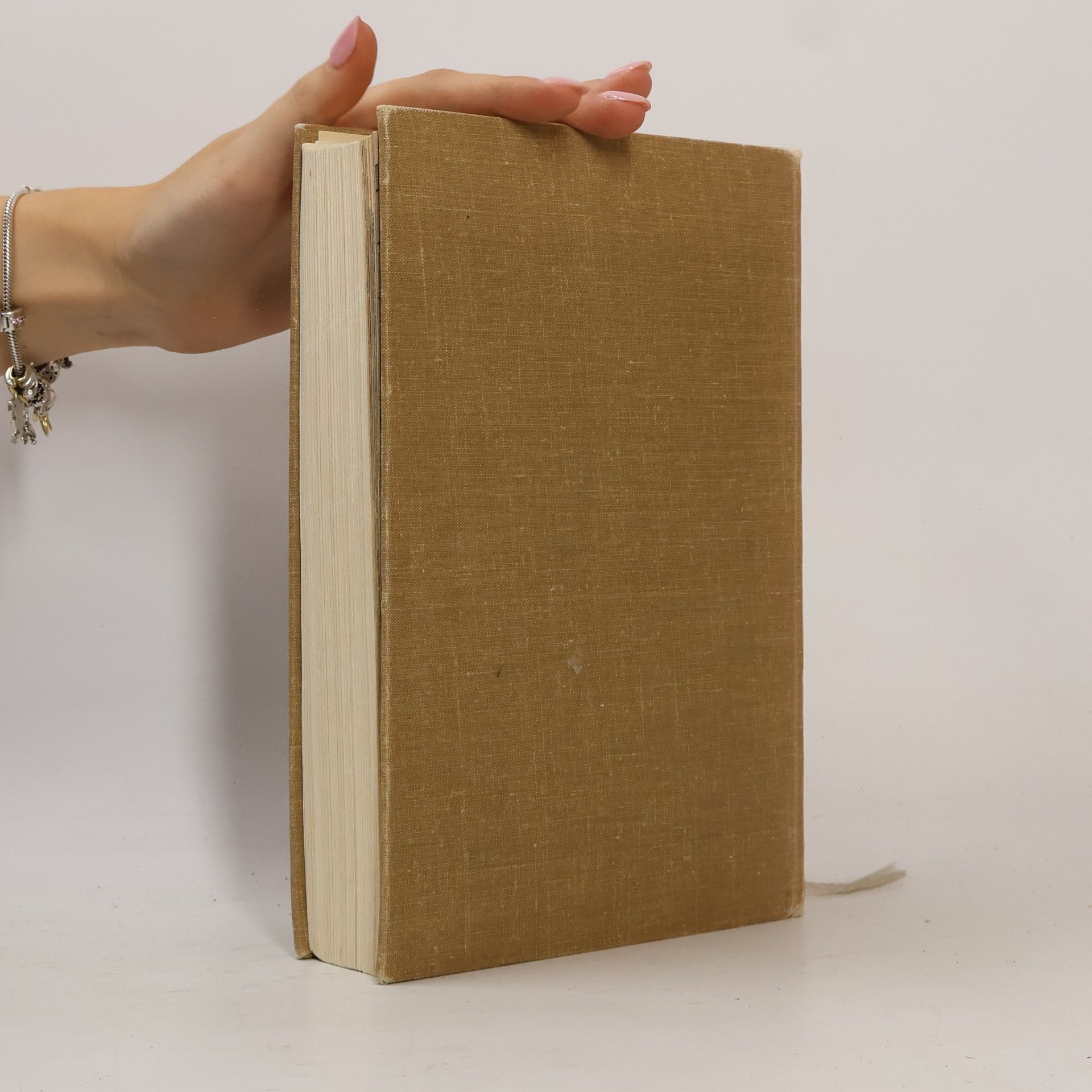 Various authors Uherský Brod. Minulost i současnost slováckého města