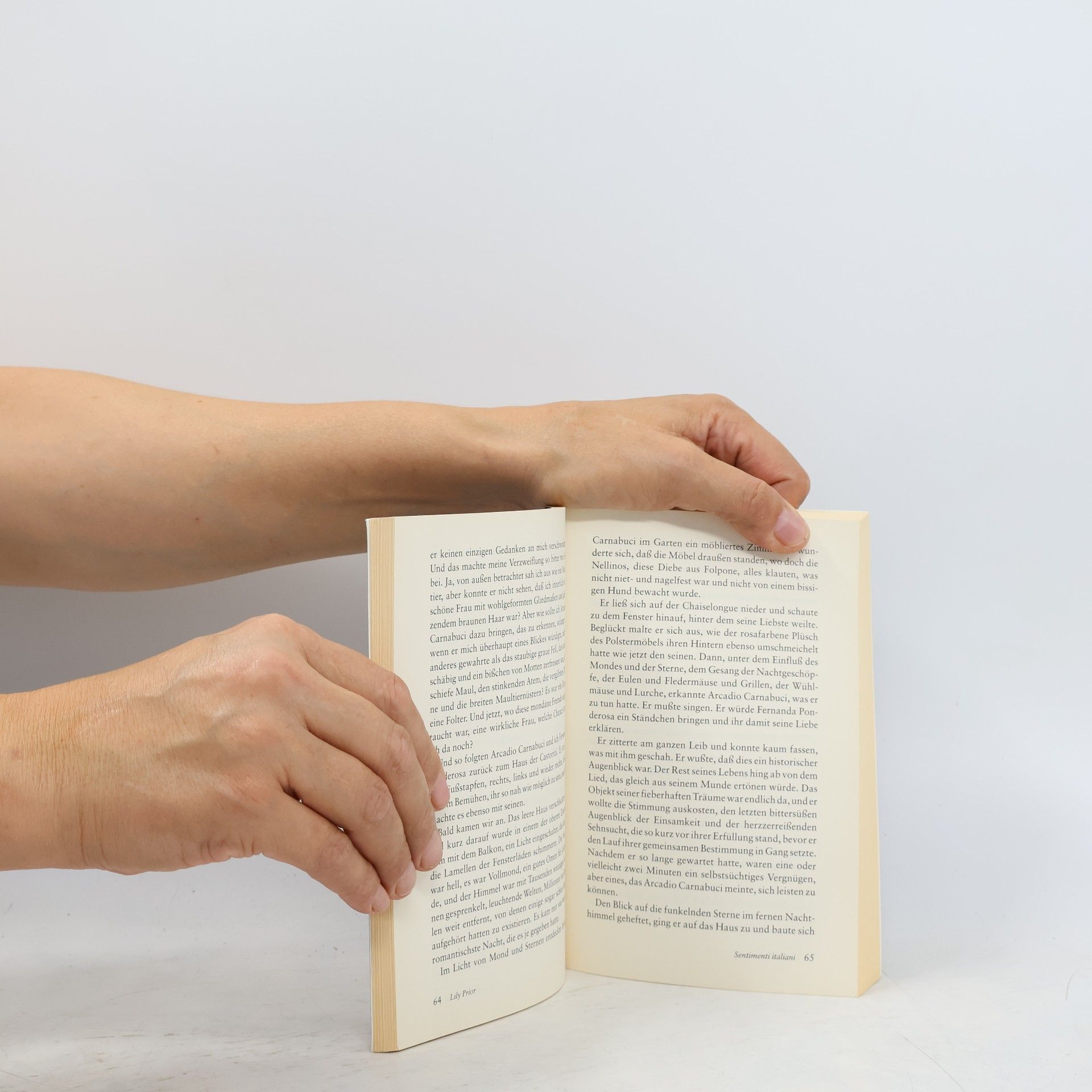 Lily Prior Sentimenti italiani oder Träume eines Sommers