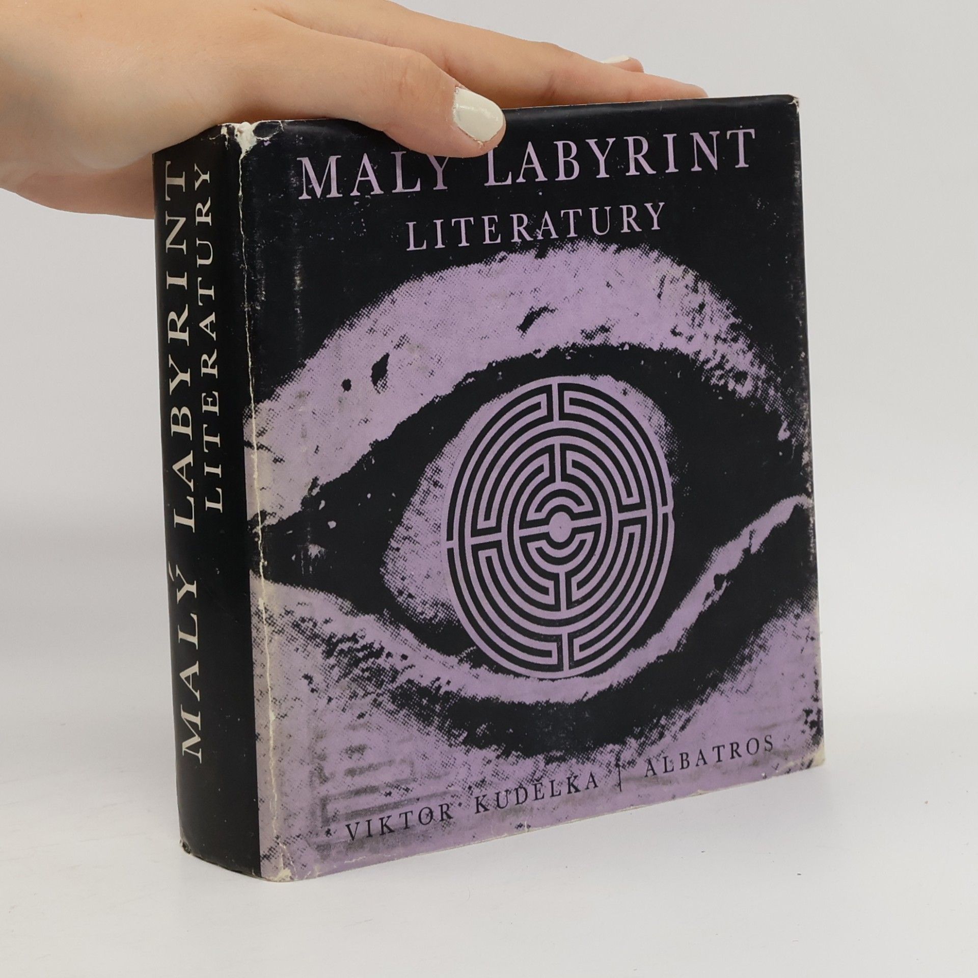 Malý labyrint literatury