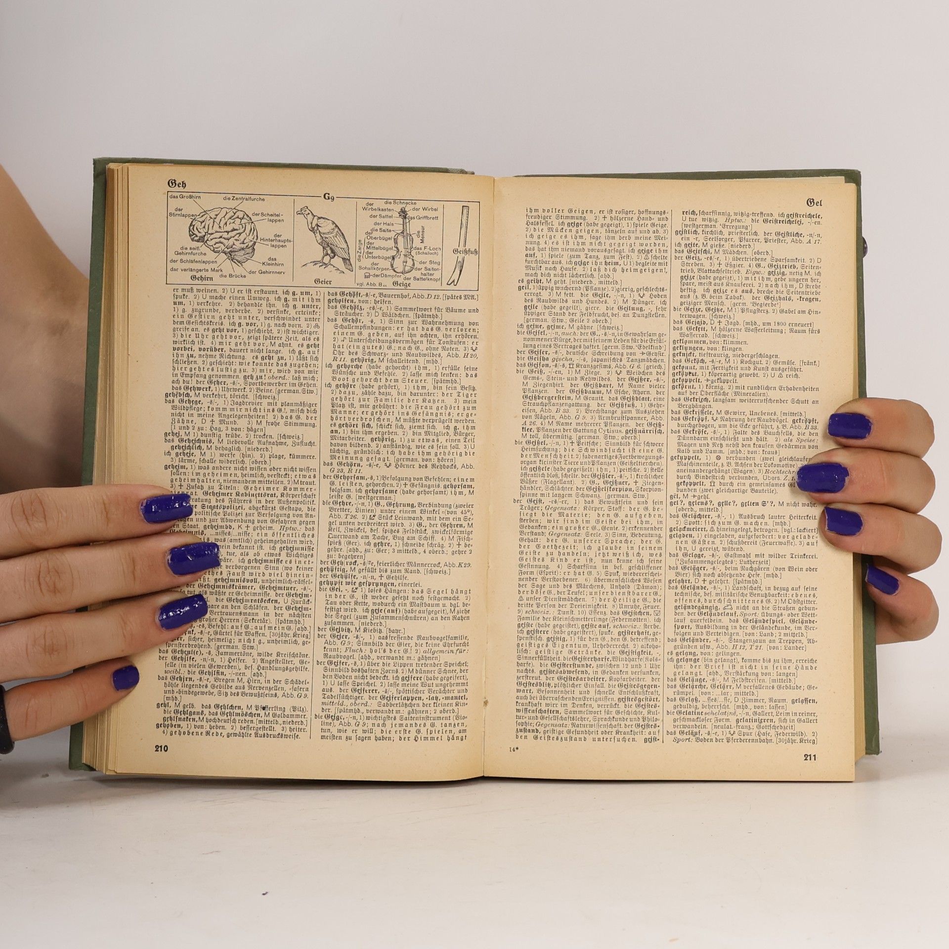 Autorenkollektiv Der Sprach Brockhaus