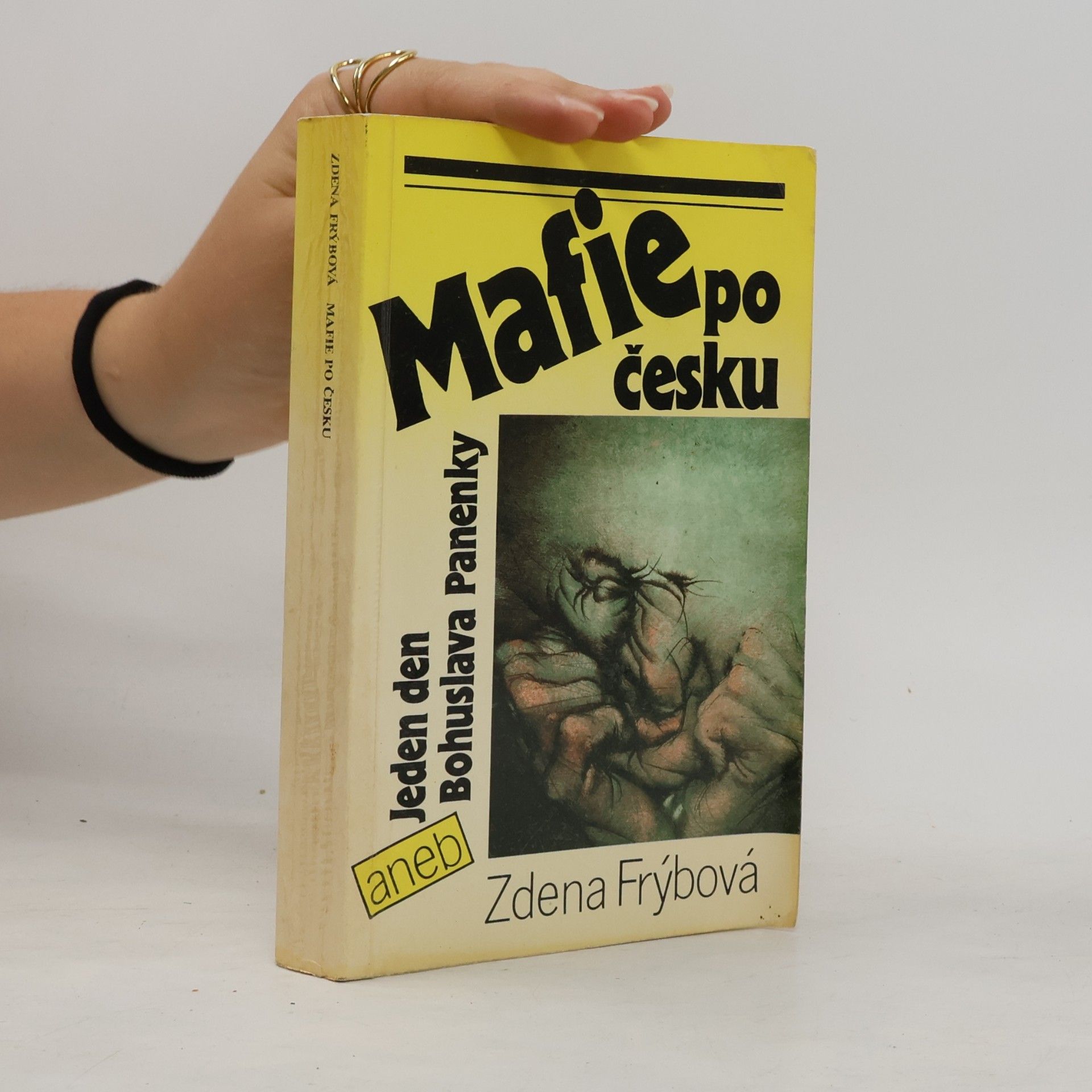 Zdena Frýbová Mafie po česku
