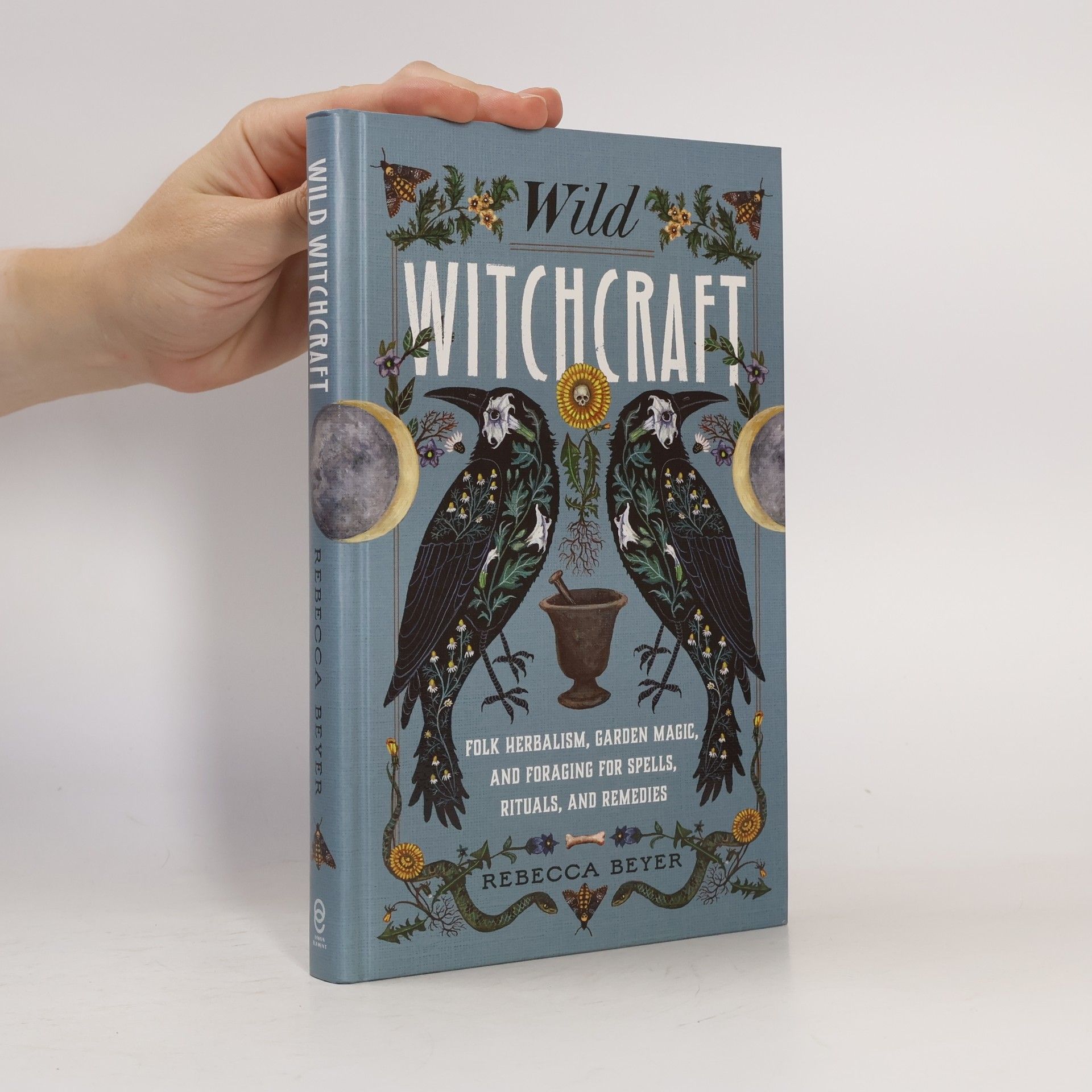 Rebecca Beyer Wild Witchcraft
