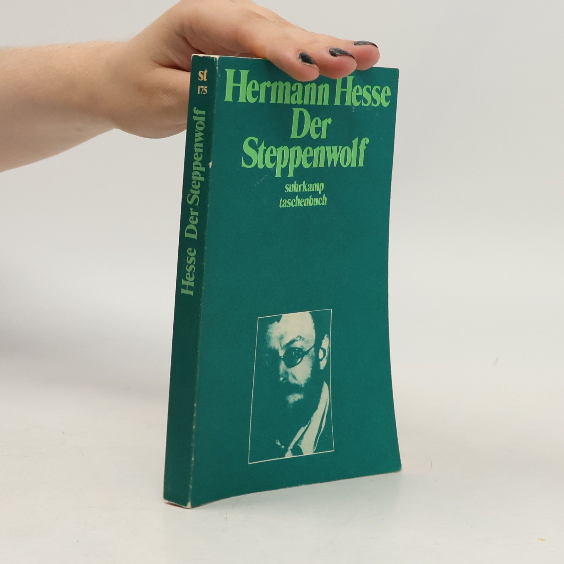Hermann Hesse Der Steppenwolf
