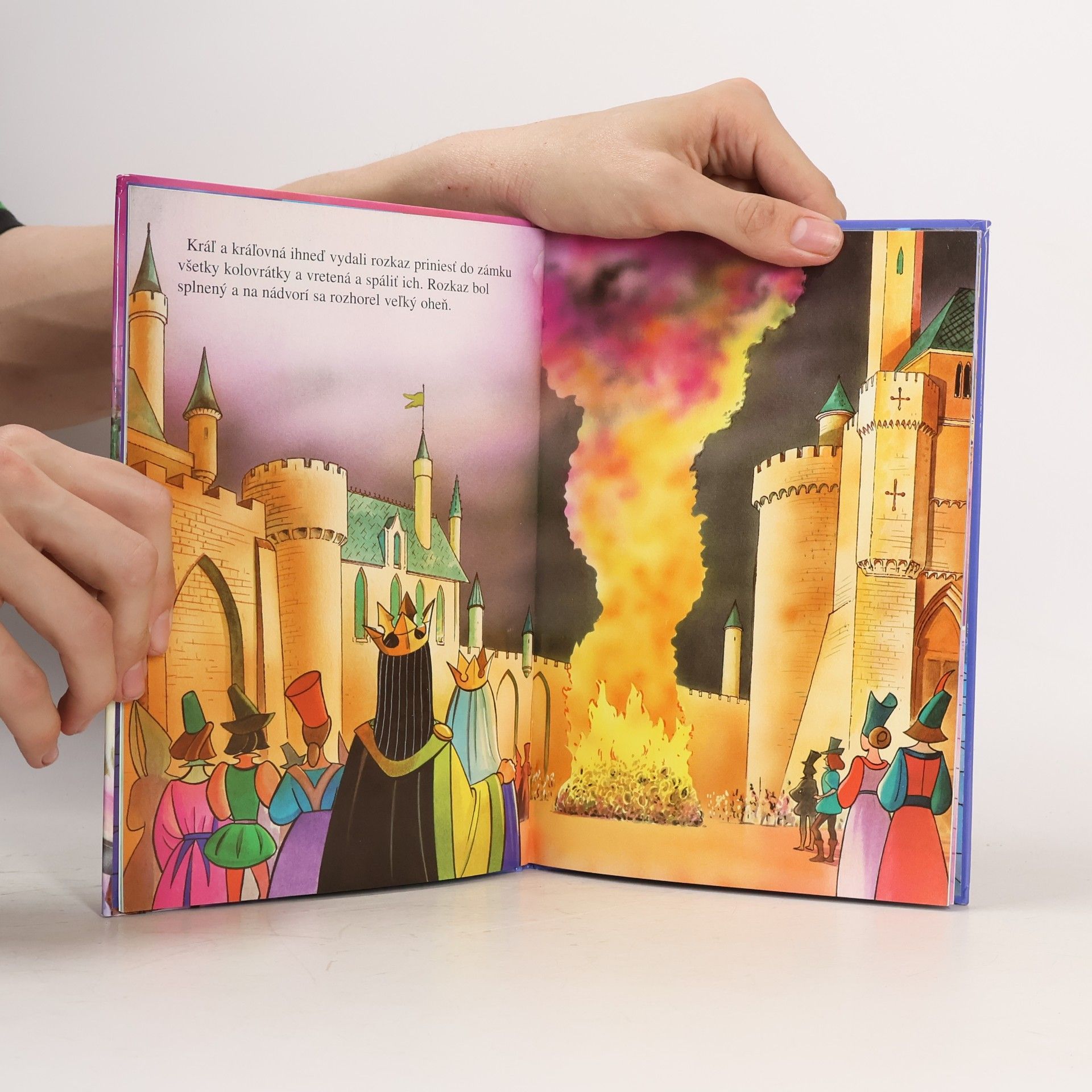 Disney Enterprises Šípková Ruženka