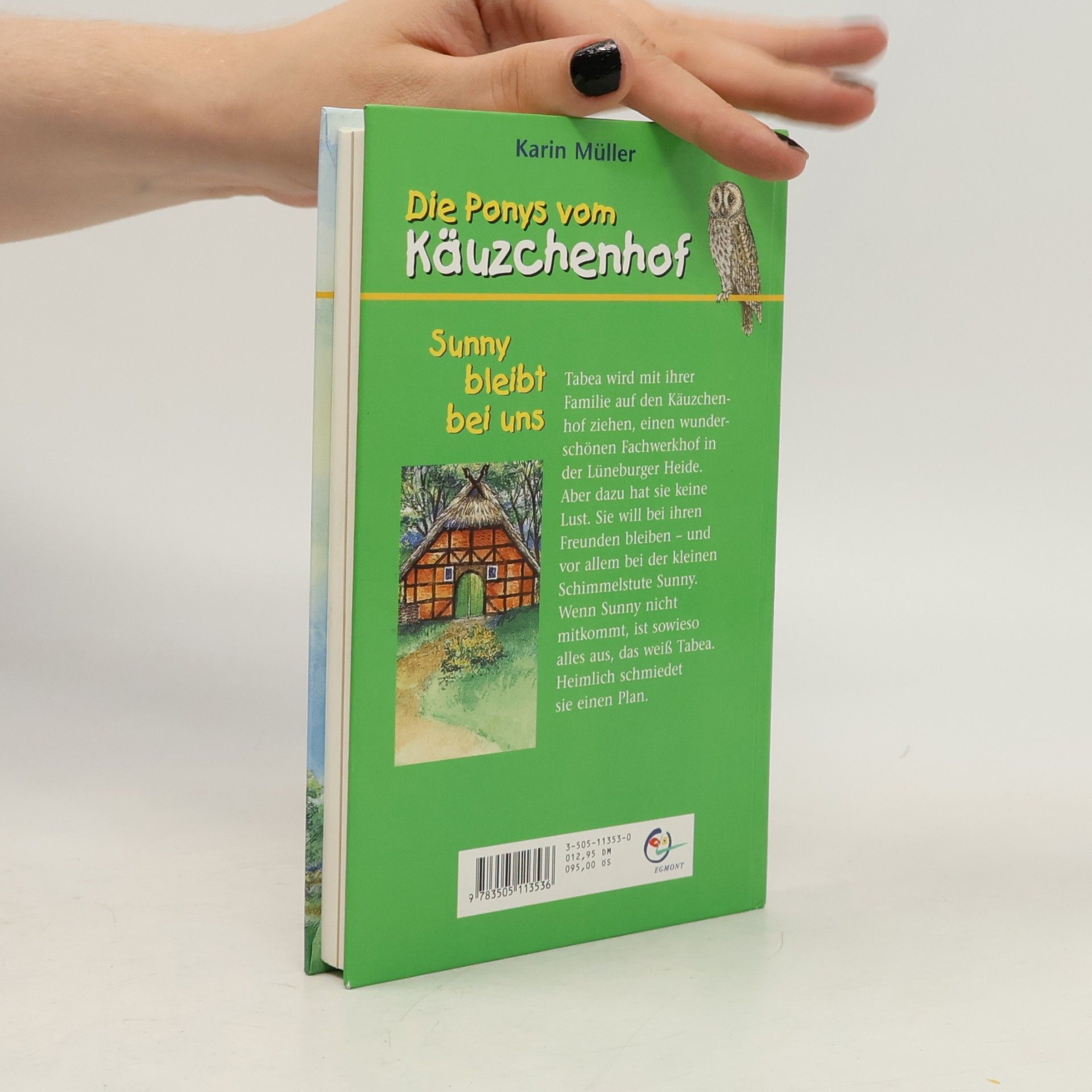 Karin Müller Die Ponys vom Käuzchenhof