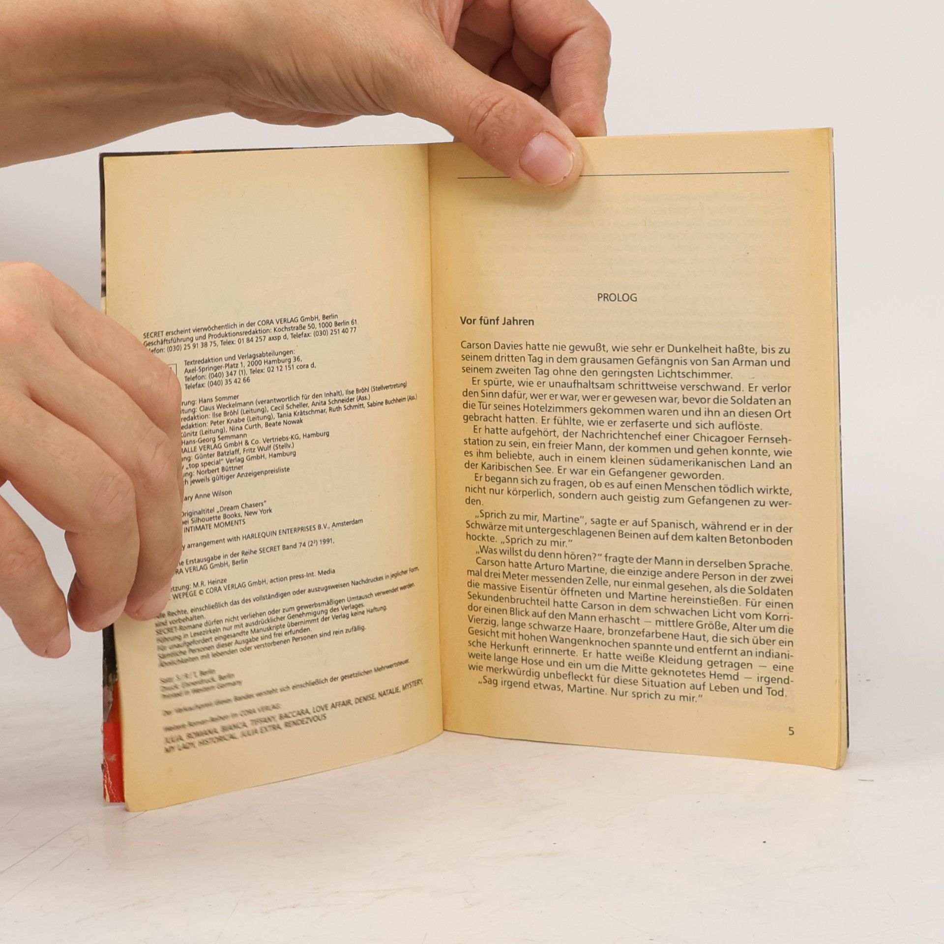Mary Anne Wilson Secret 74. Flucht in letzter Minute