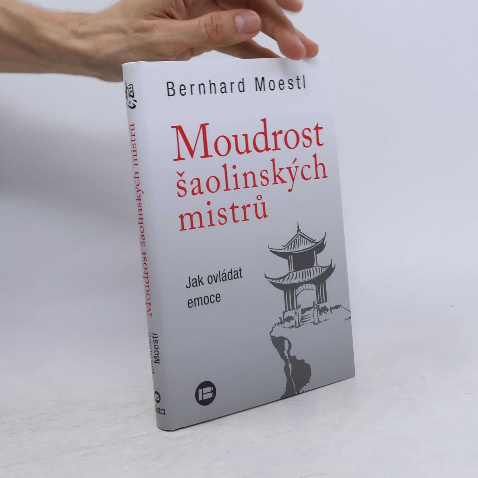 Bernhard Moestl Moudrost šaolinských mistrů