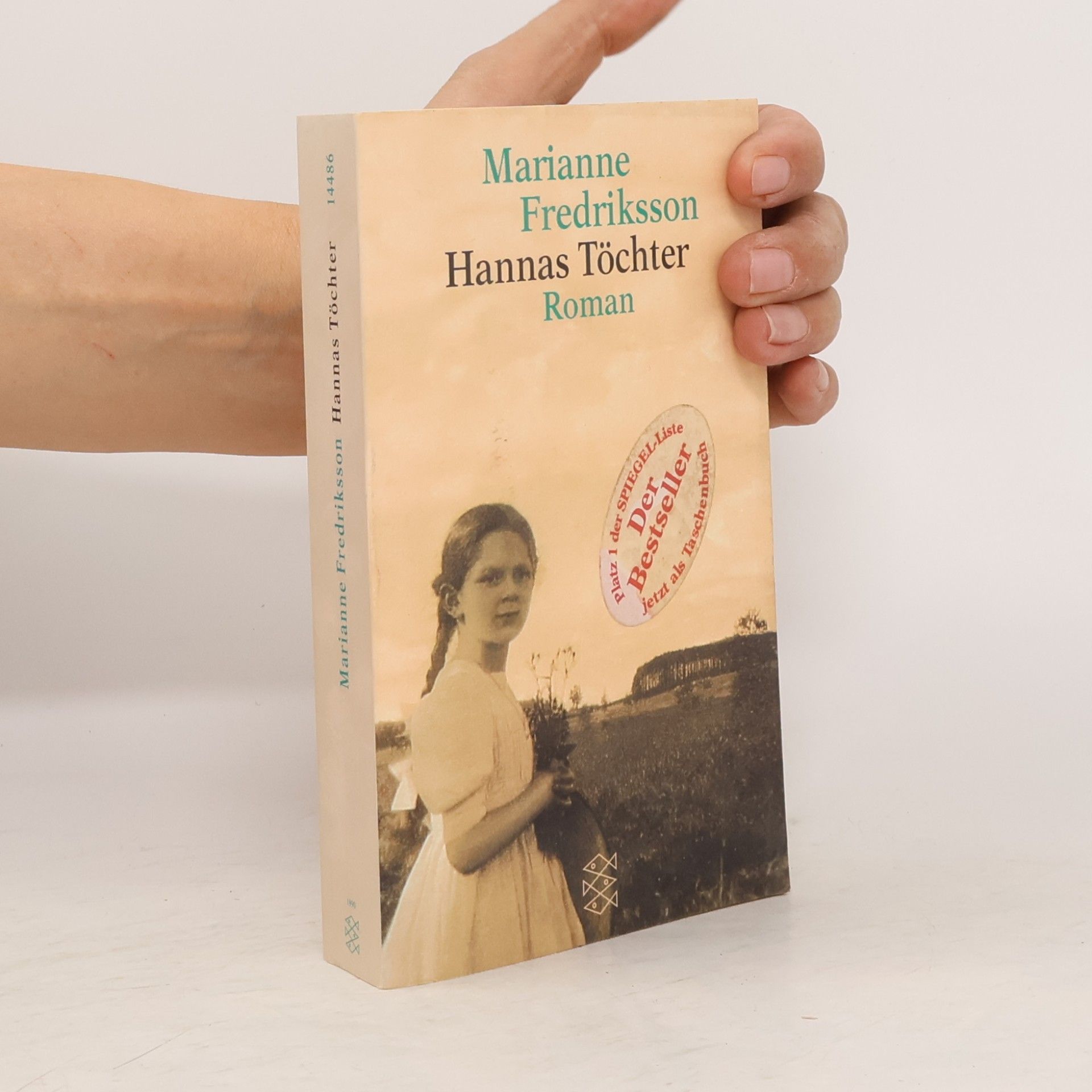 Marianne Fredriksson Hannas Töchter