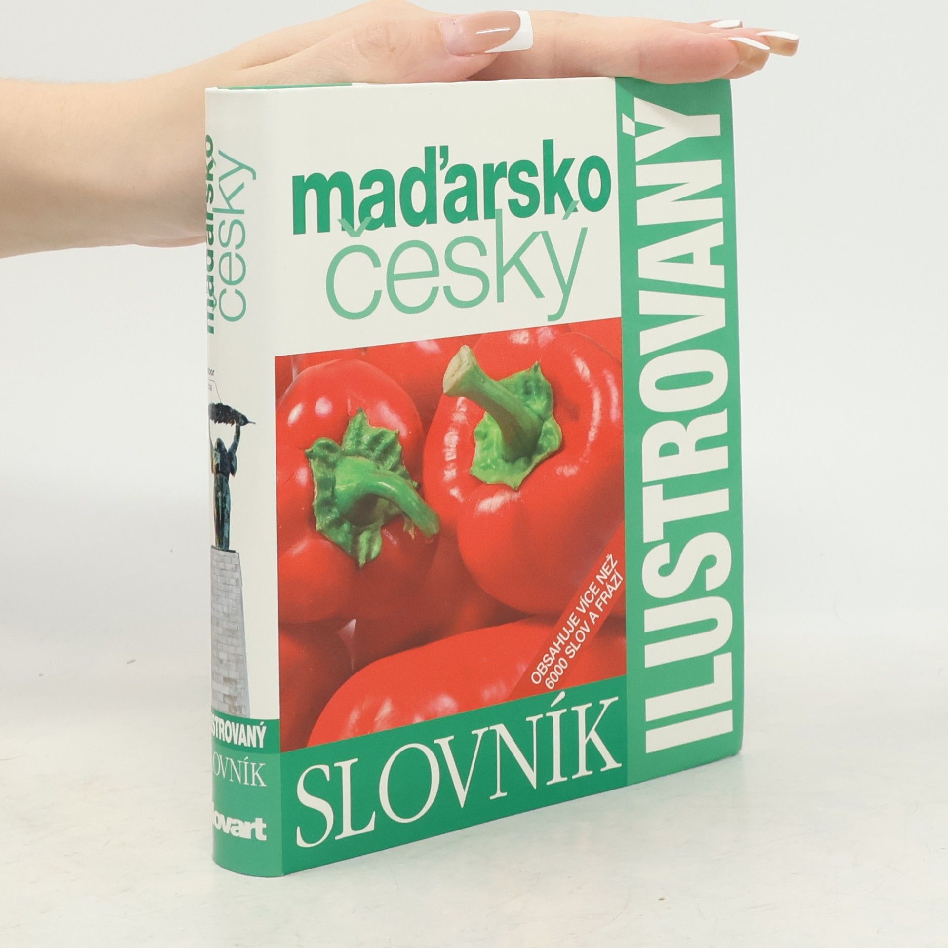 Various authors Maďarsko český ilustrovaný slovník