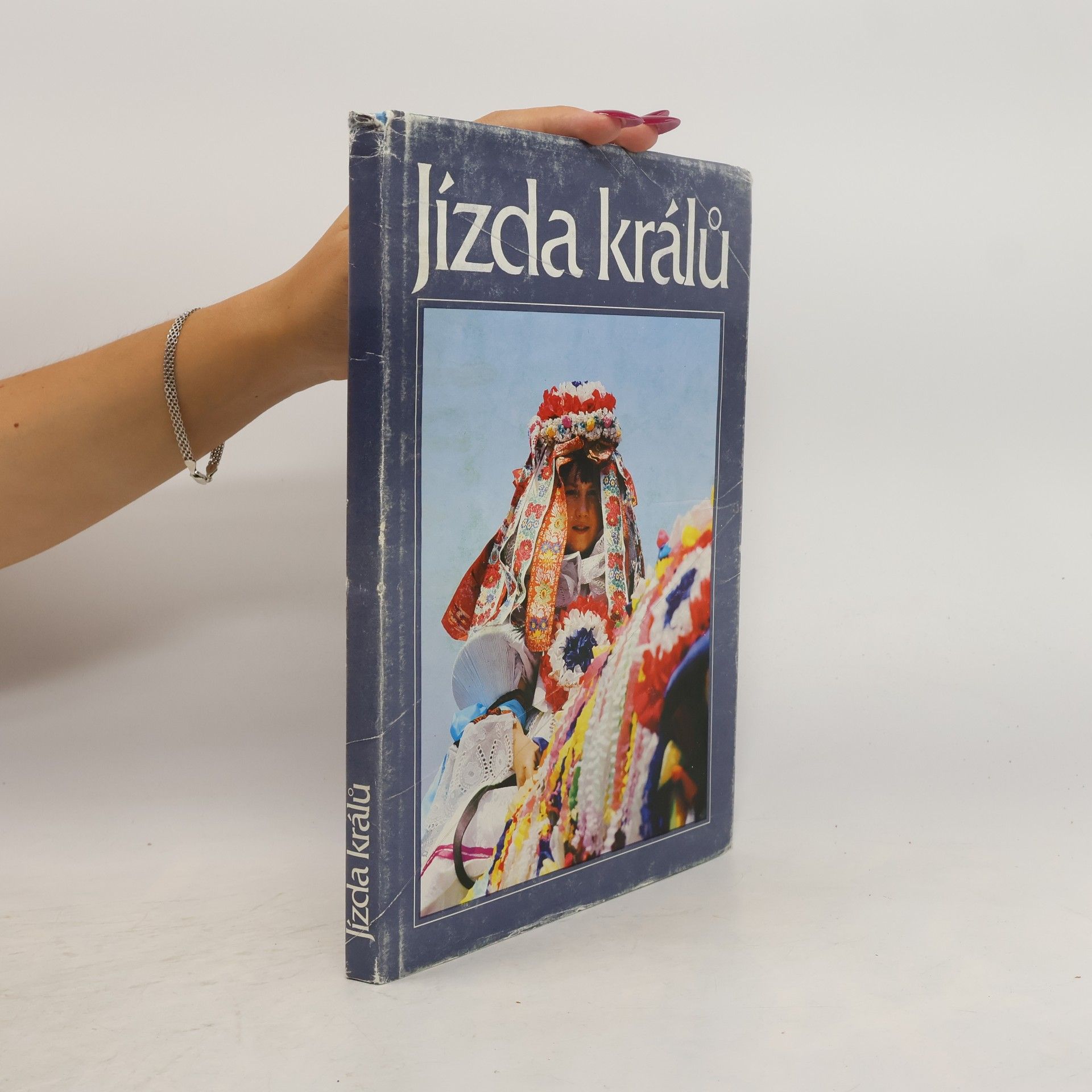 Kolektív autorov Jízda králů