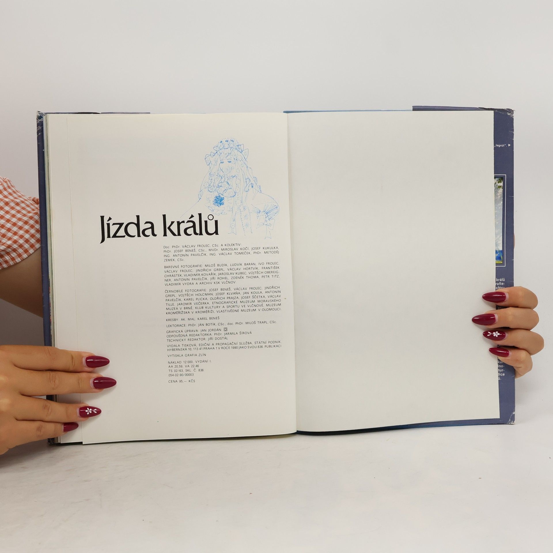 Kolektív autorov Jízda králů