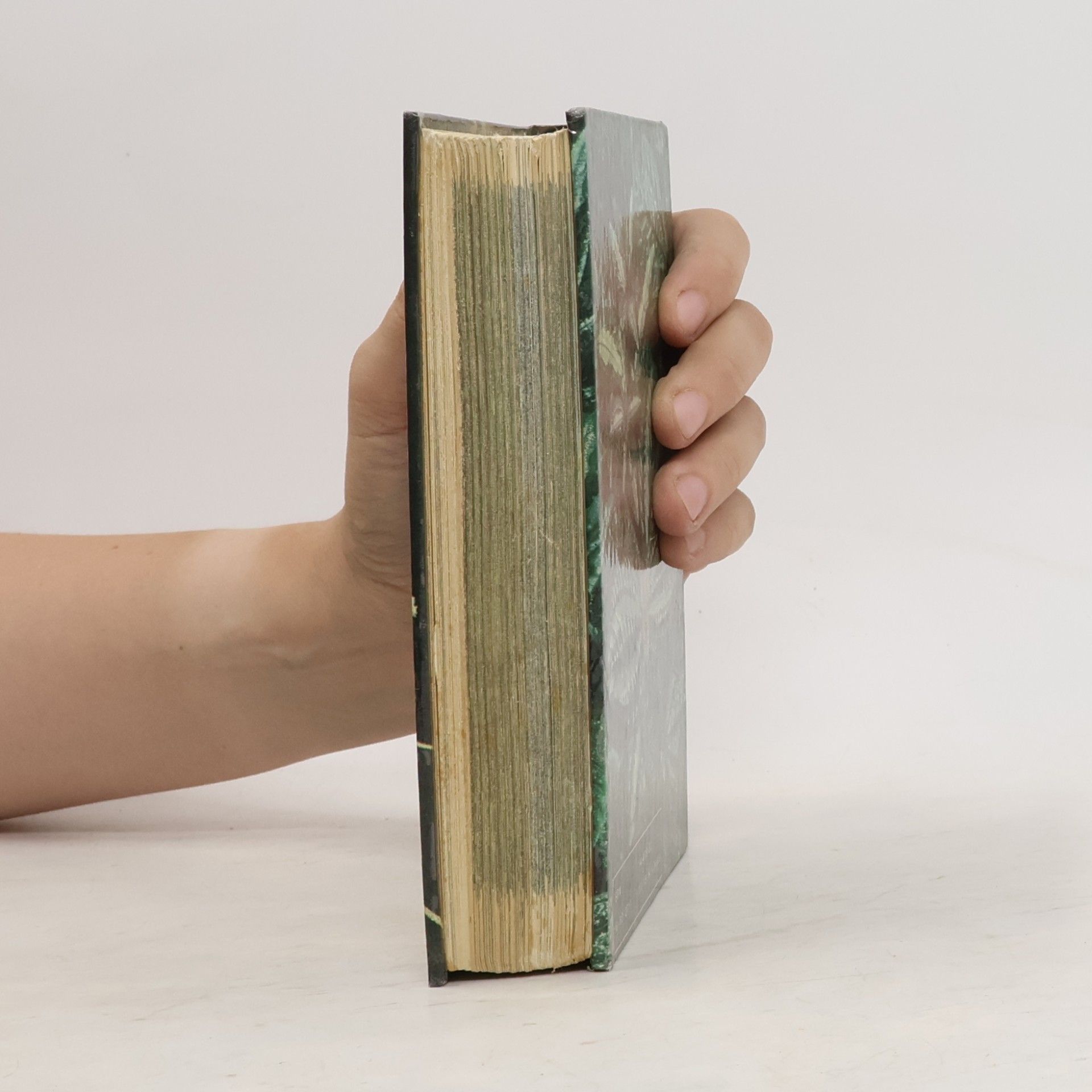 Jiří Haager Kapesní atlas pěstovaných exotických rostlin