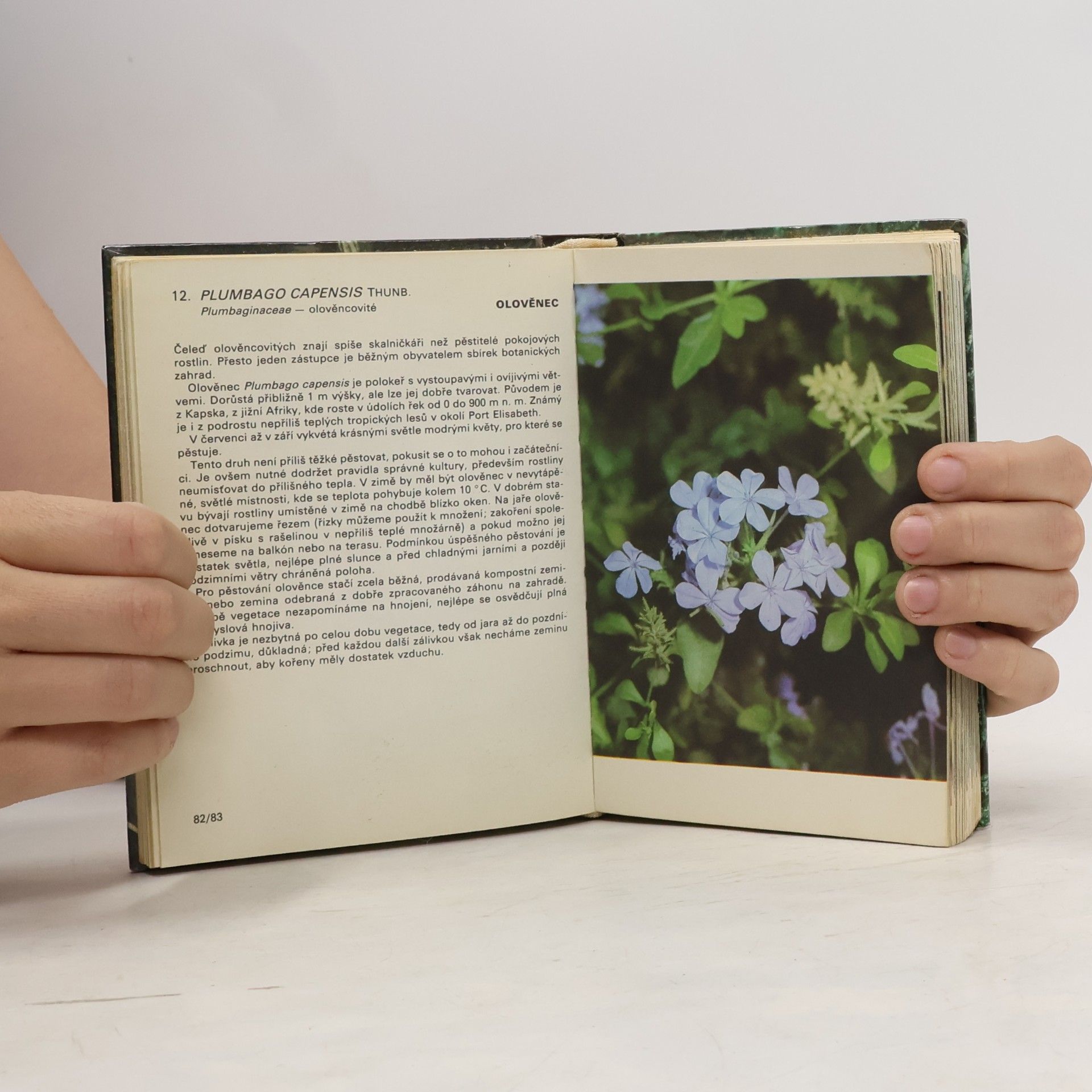 Jiří Haager Kapesní atlas pěstovaných exotických rostlin