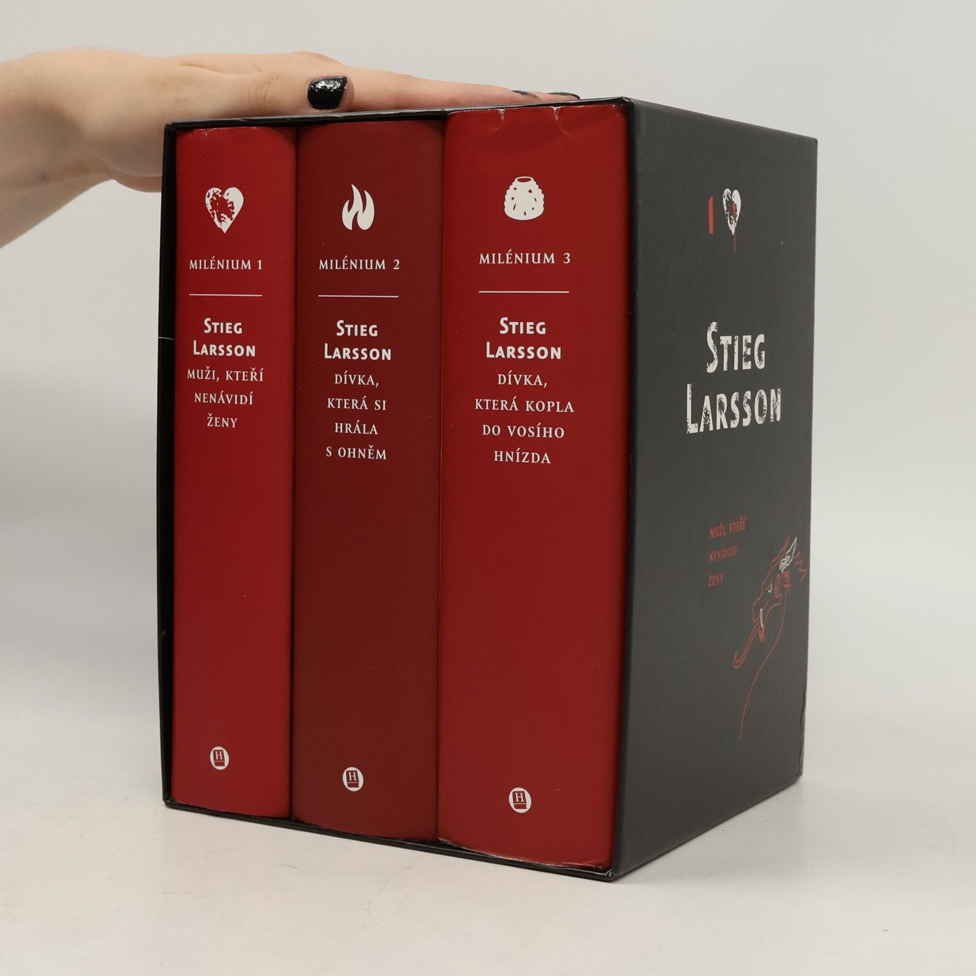 Stieg Larsson Milénium 1-3: Dívka, která kopla do vosího hnízda