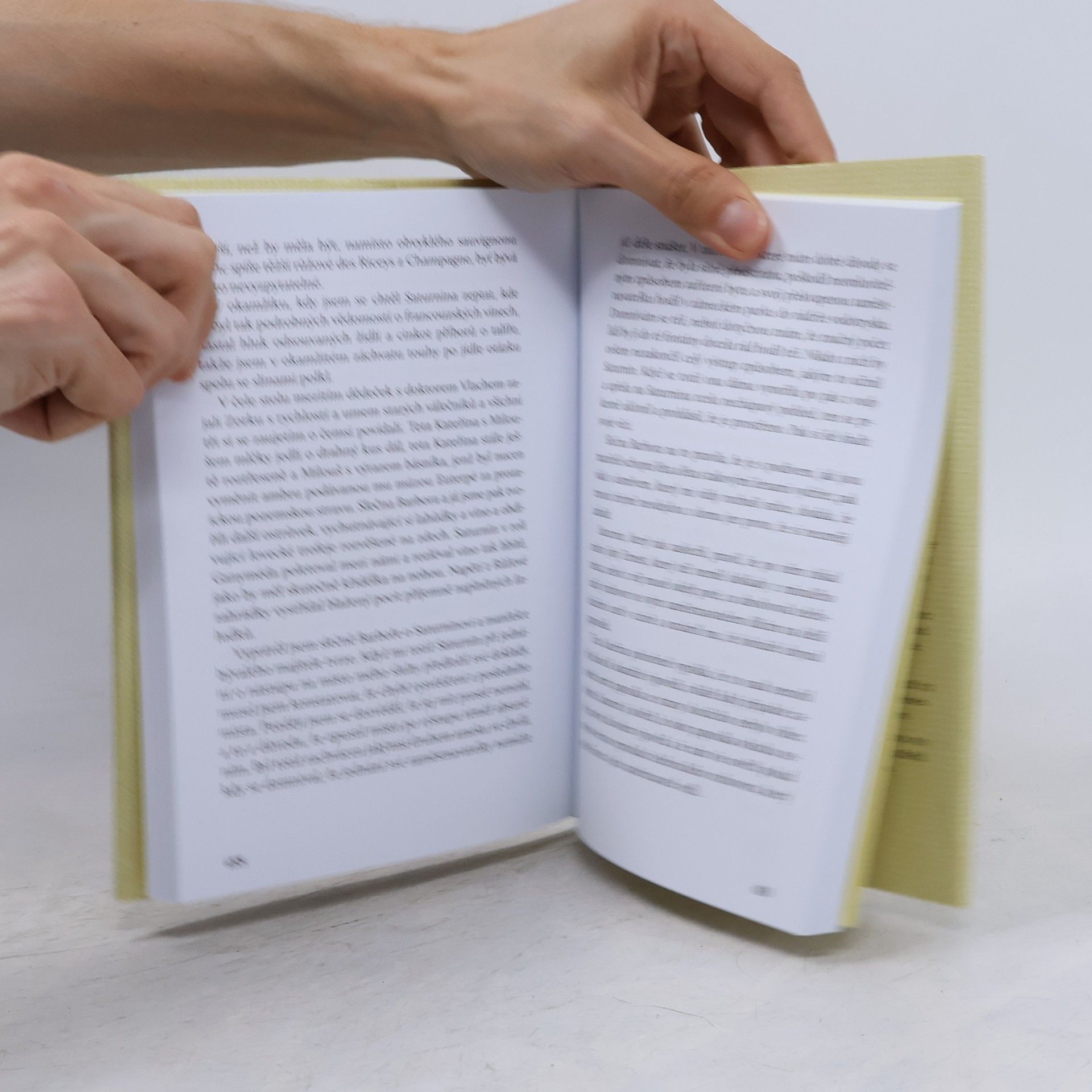 Miroslav Macek Saturnin se vrací