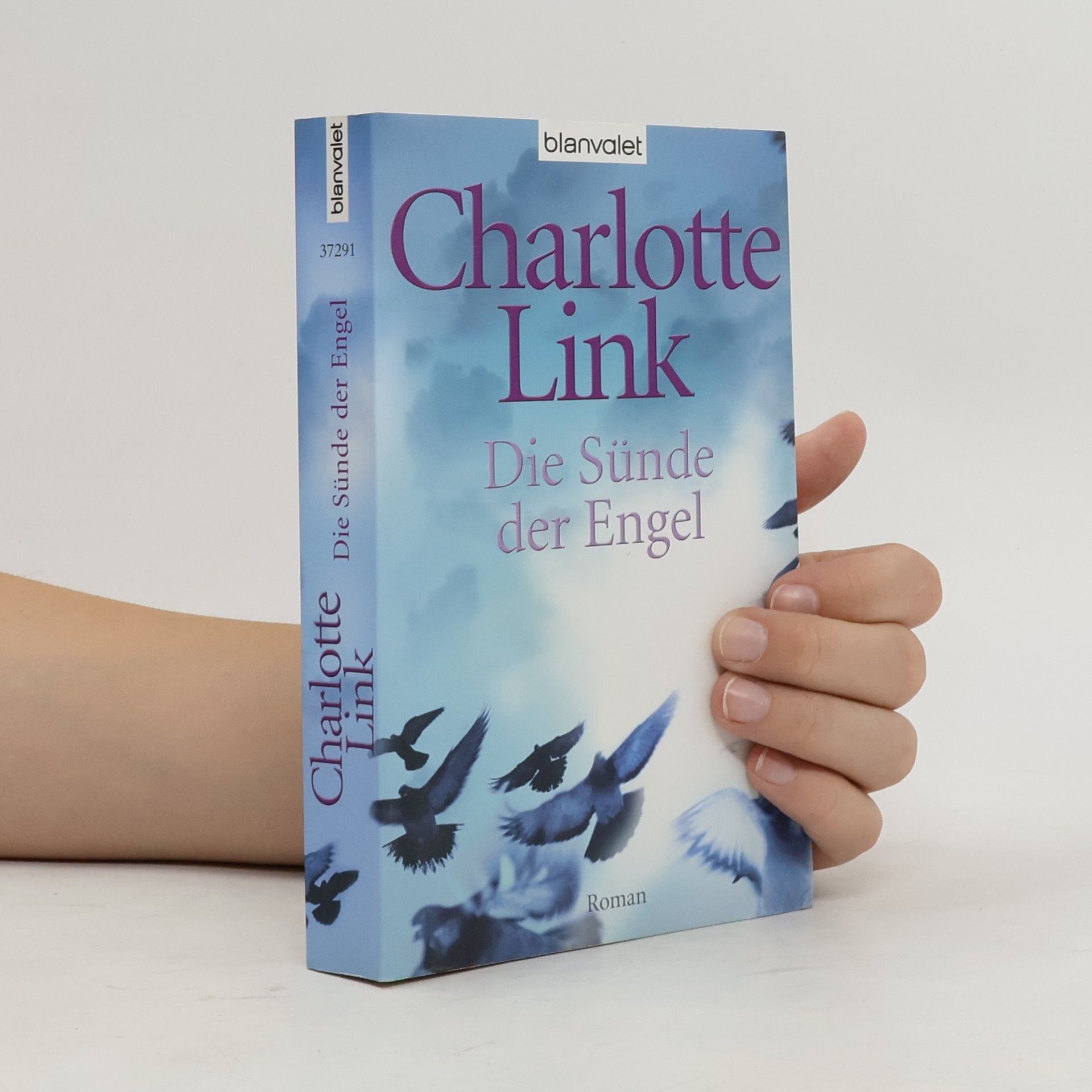 Charlotte Link Die Sünde der Engel