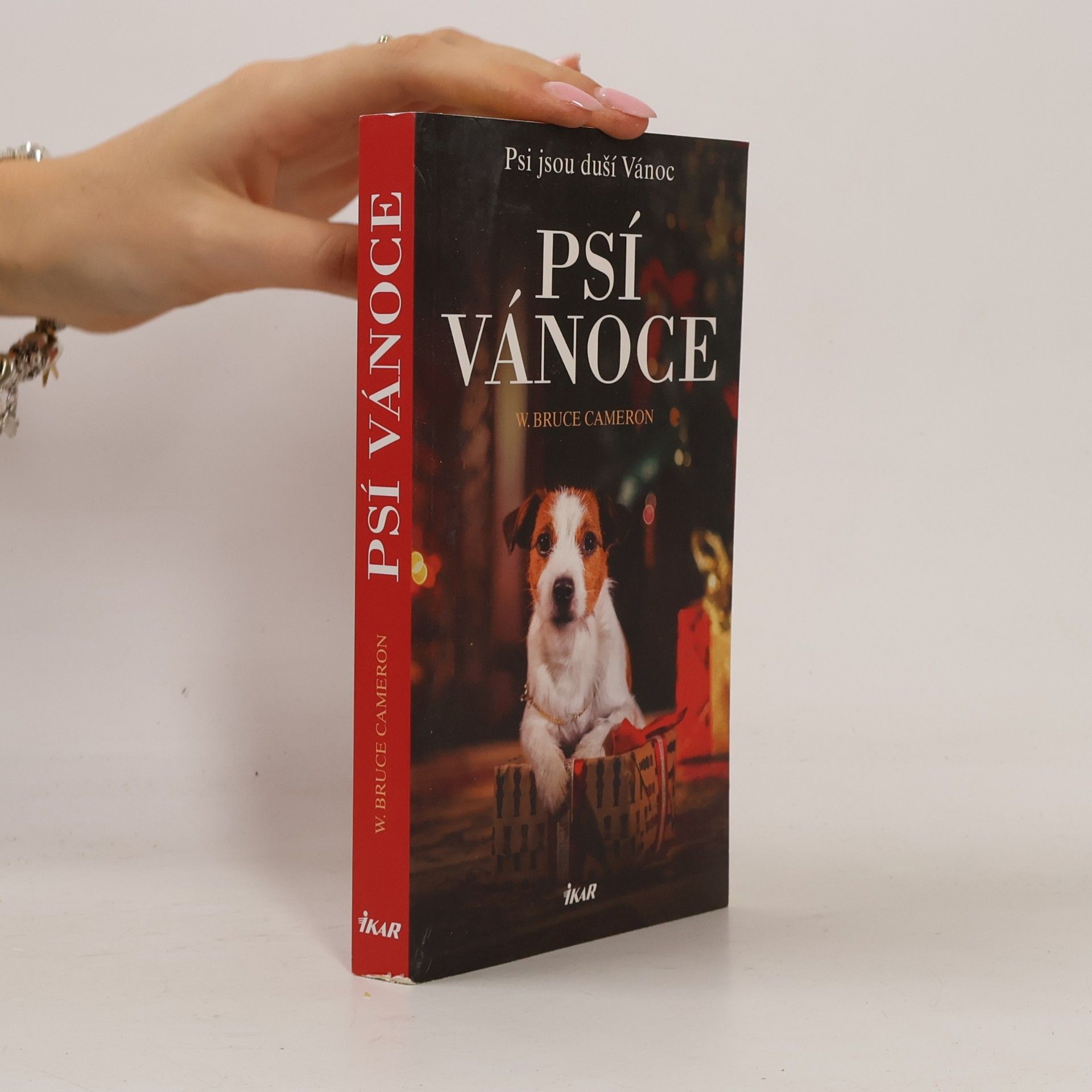 W. Bruce Cameron Psí Vánoce