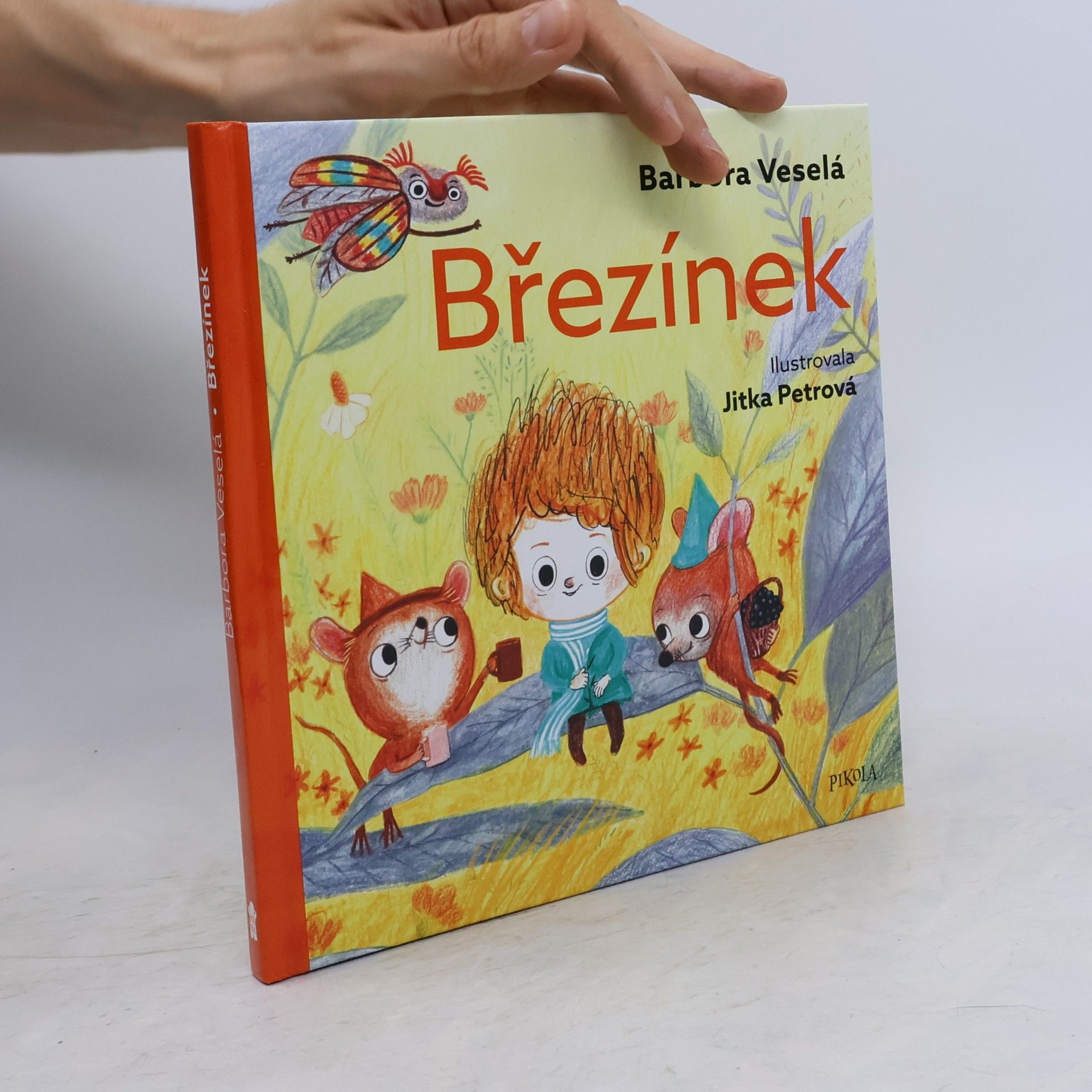Jitka Petrova Březínek