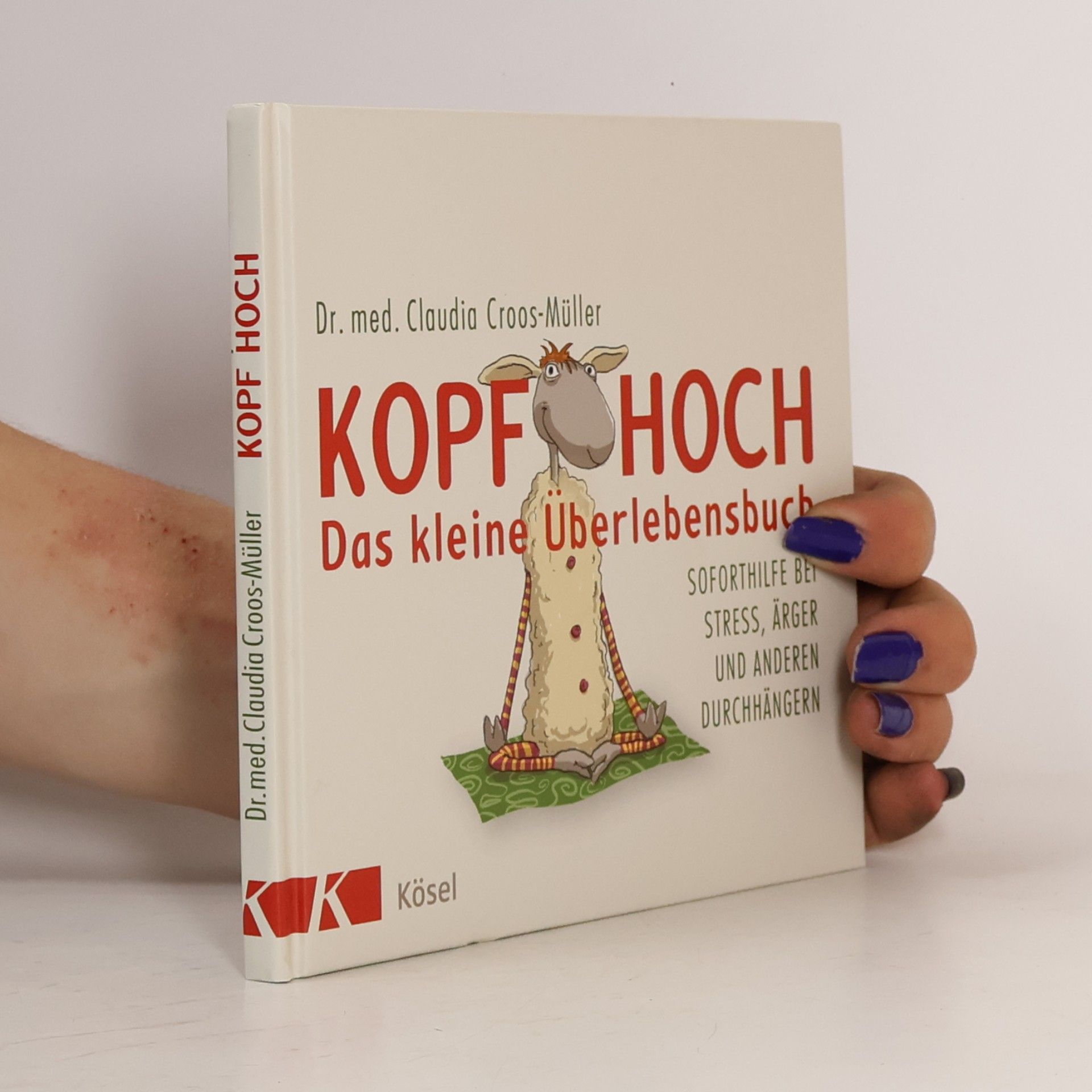 Claudia Cross-Müller Kopf hoch - das kleine Überlebensbuch
