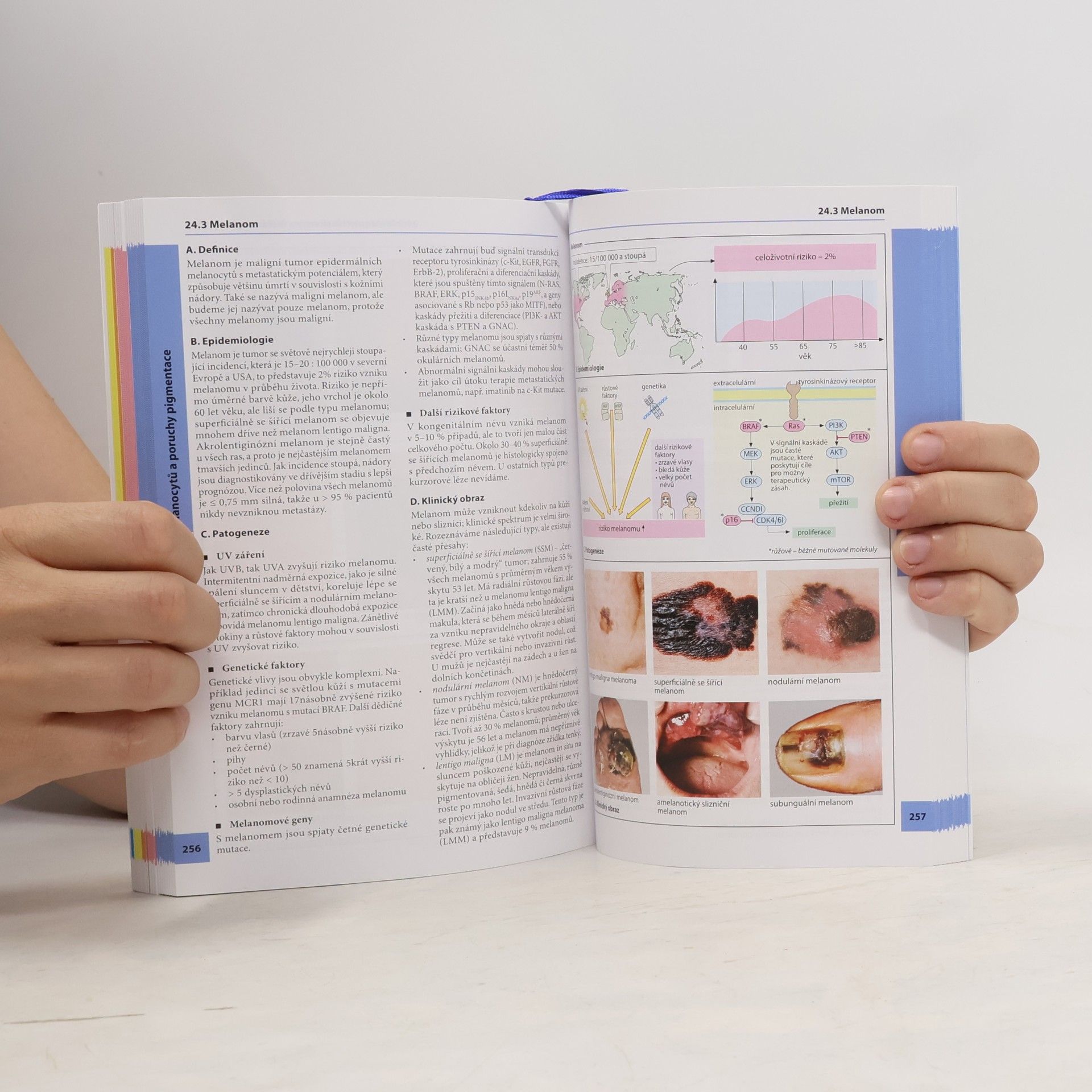 Martin Röcken Kapesní atlas dermatologie