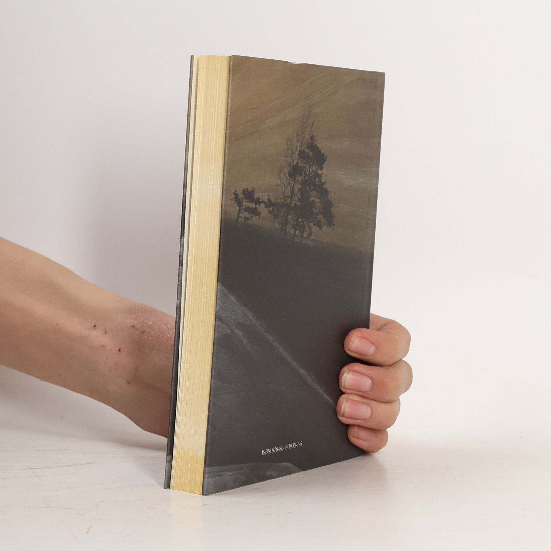 Autorenkollektiv The Eastern Connection: Mirrors of Europe