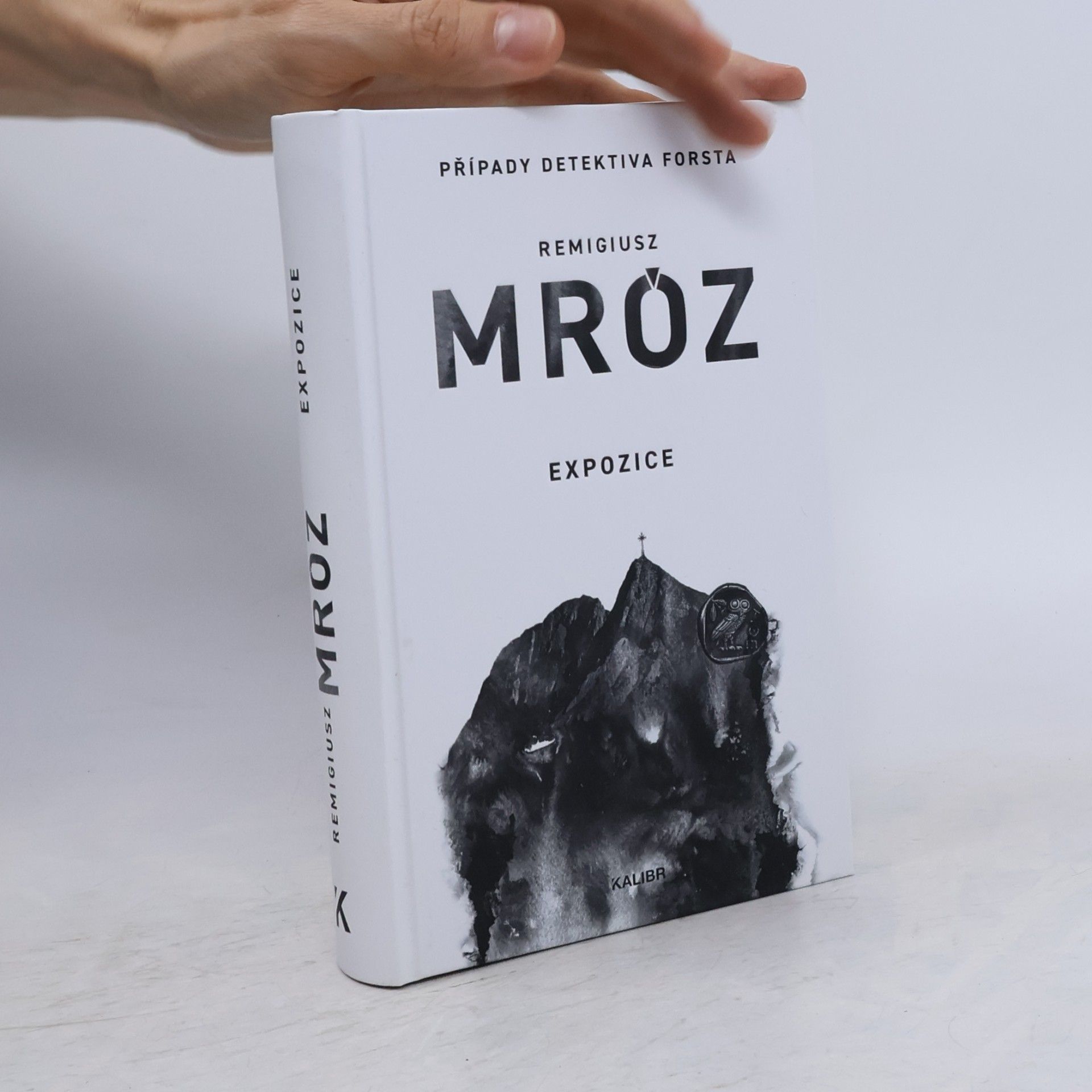 Remigiusz Mróz Expozice