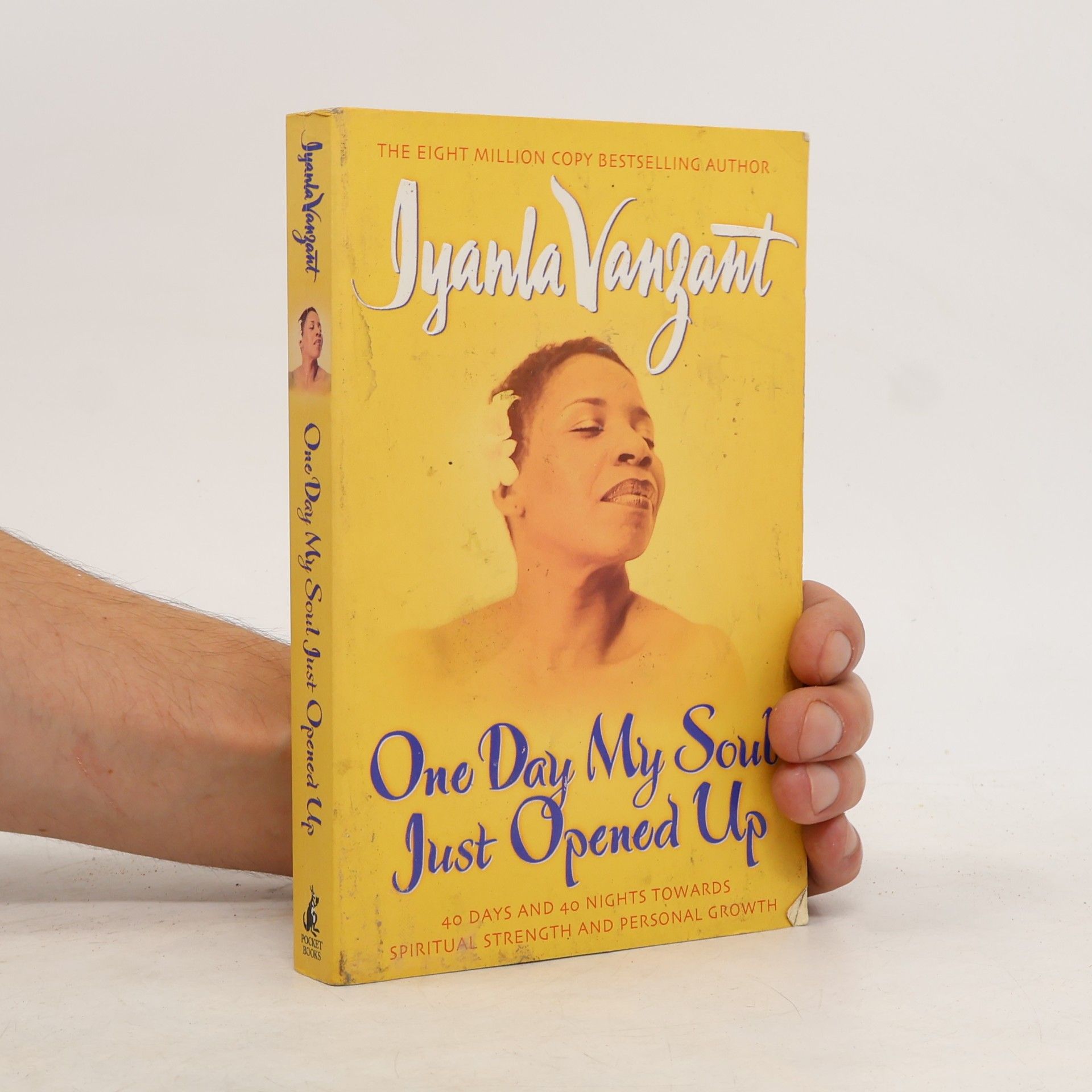 Iyanla Vanzant One Day My Soul Just Opened Up