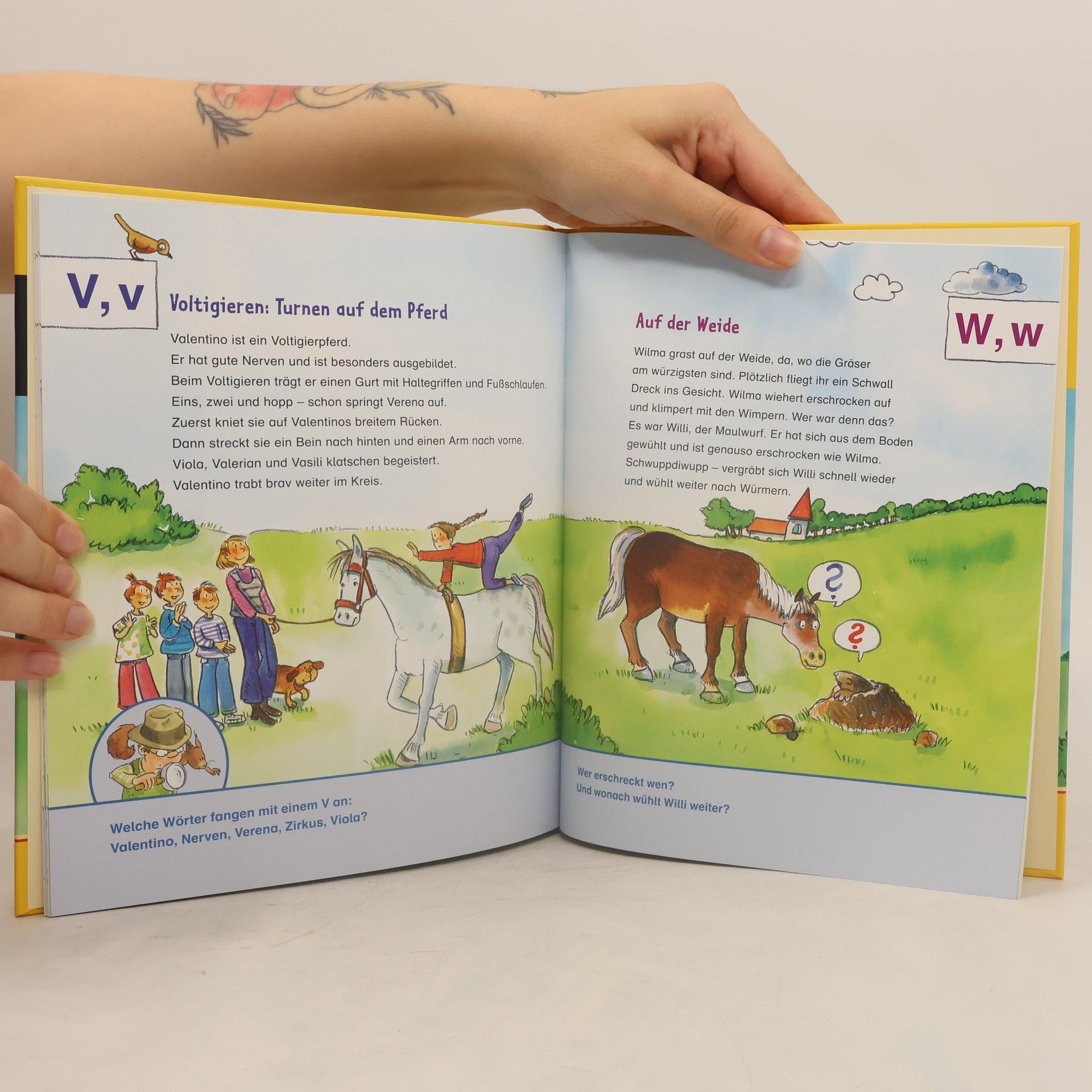 Dagmar Binder Lesedetektive - 5: Abc-Vorlesegeschichten - Pferde