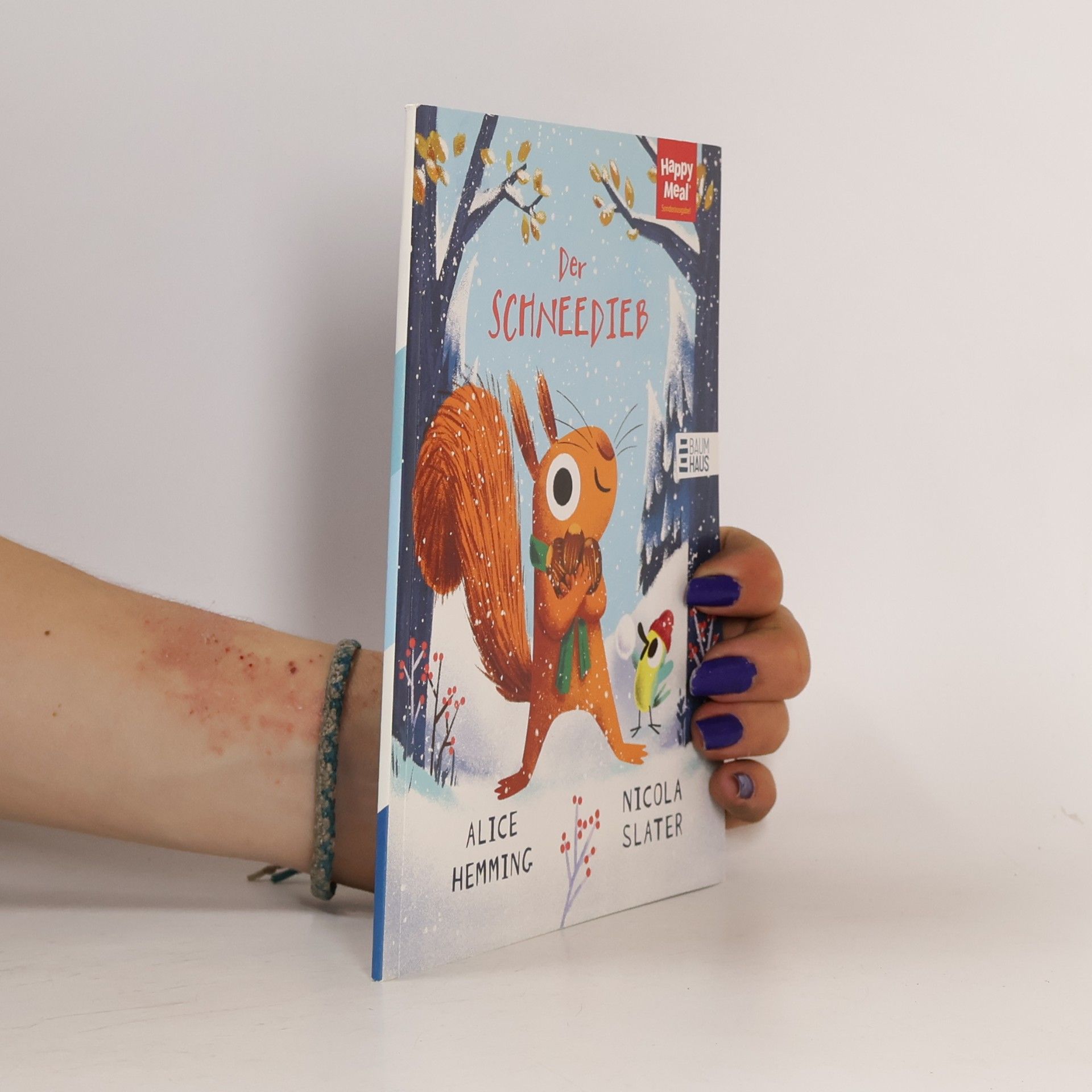 Alice Hemming Der Schneedieb