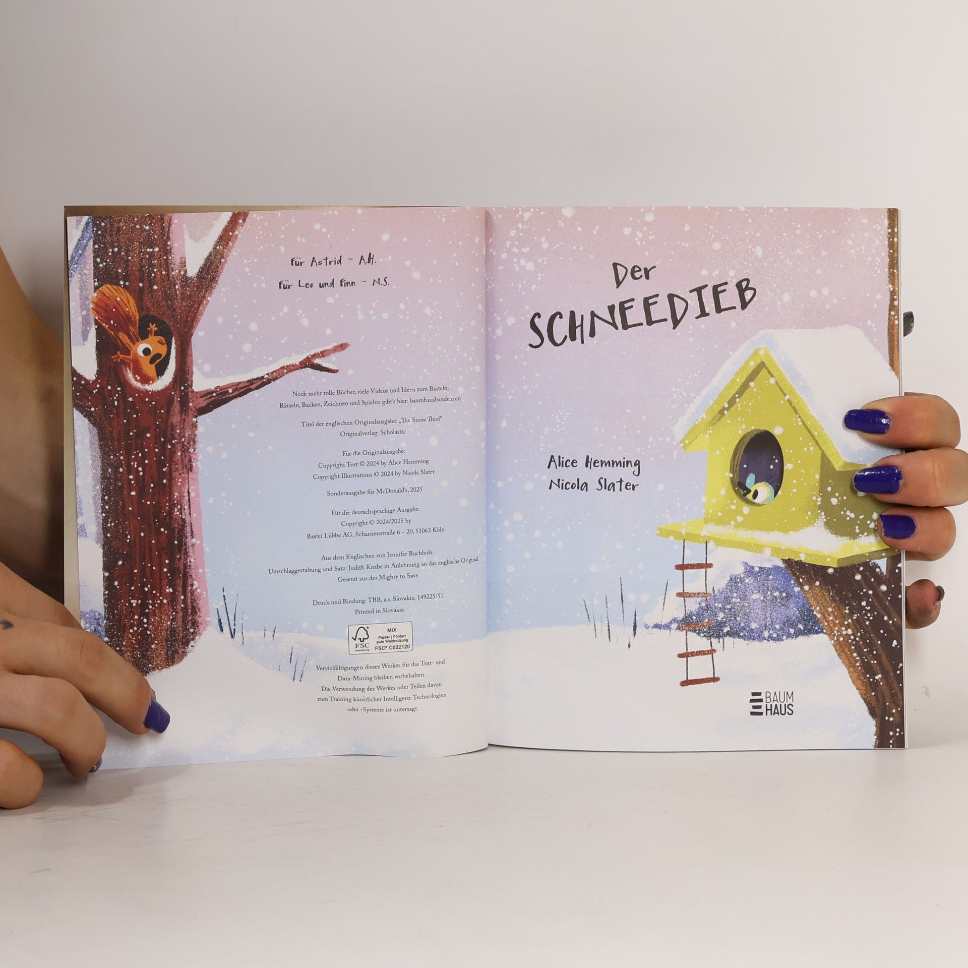 Nicola Slater Der Schneedieb