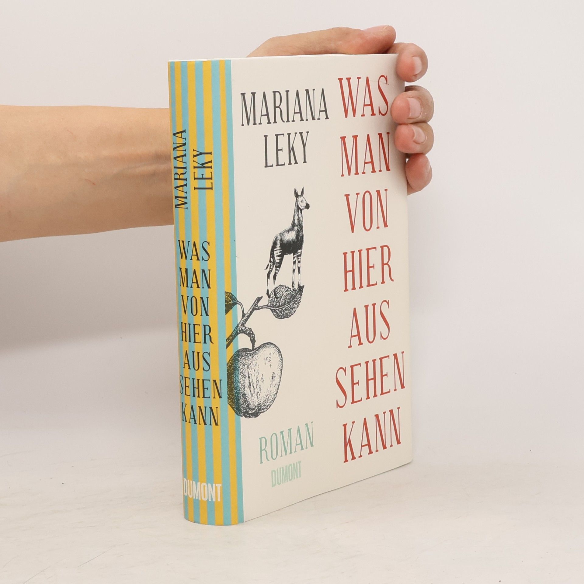 Mariana Leky Was man von hier aus sehen kann