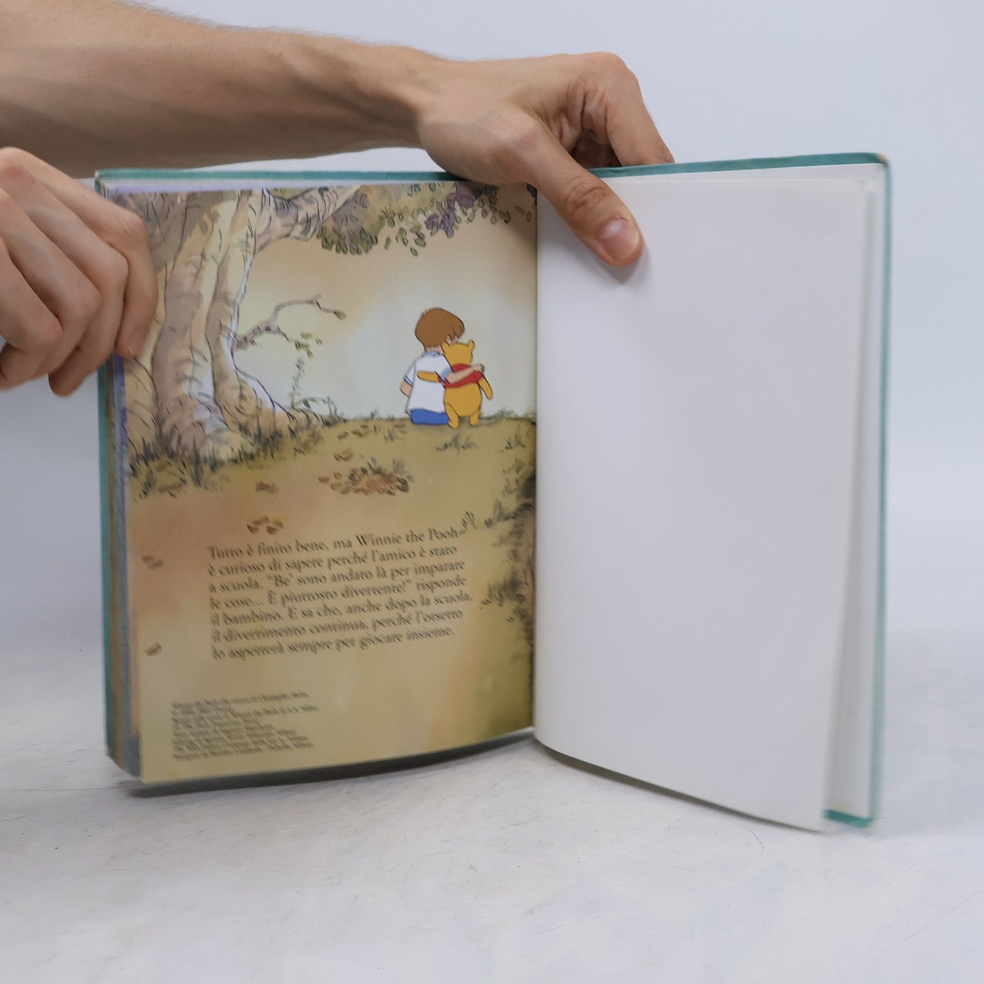 I Capolavori Disney: Winnie the Pooh